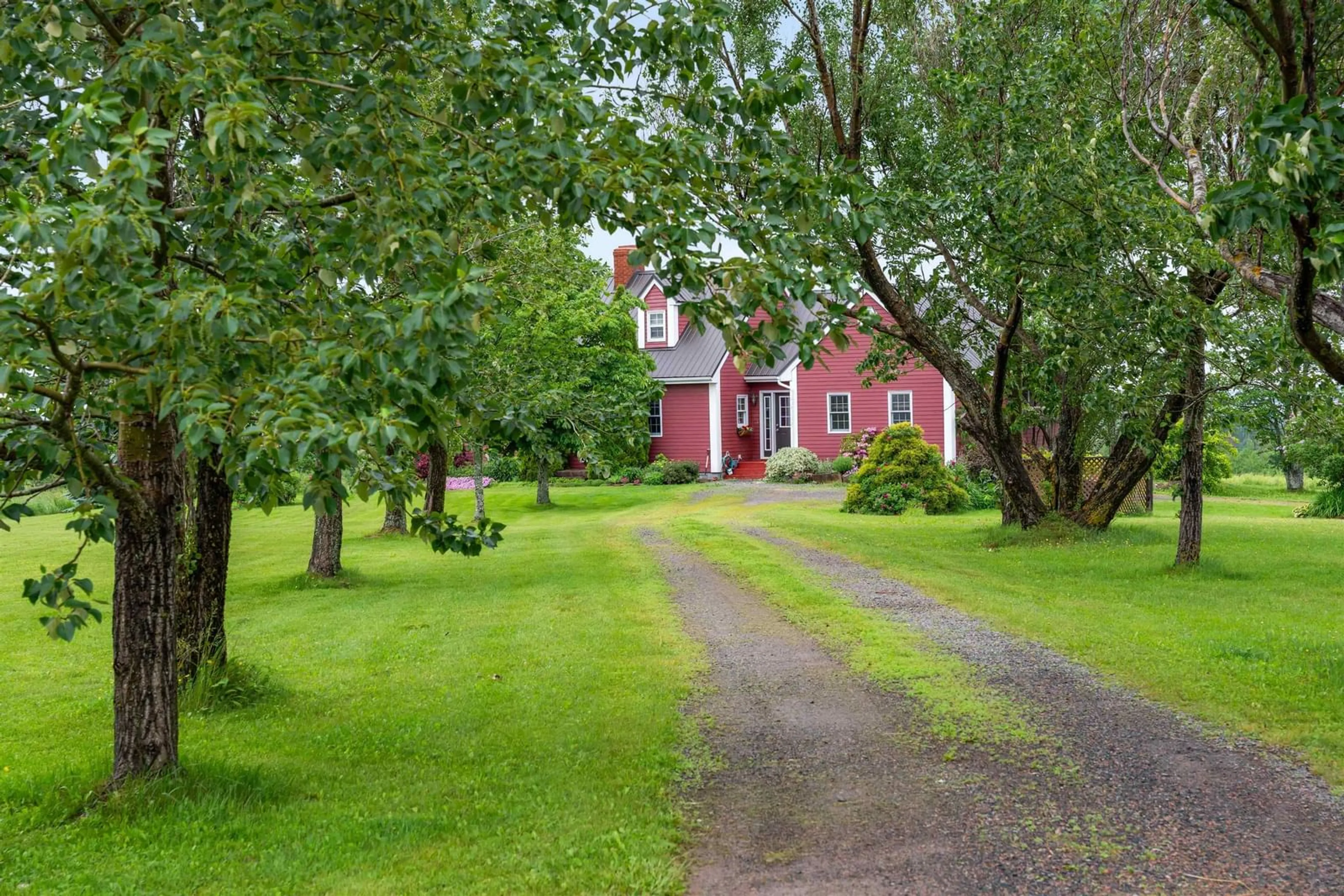 A pic from outside/outdoor area/front of a property/back of a property/a pic from drone, street for 199 Mcinnis Rd, Malagash Nova Scotia B0K 1E0