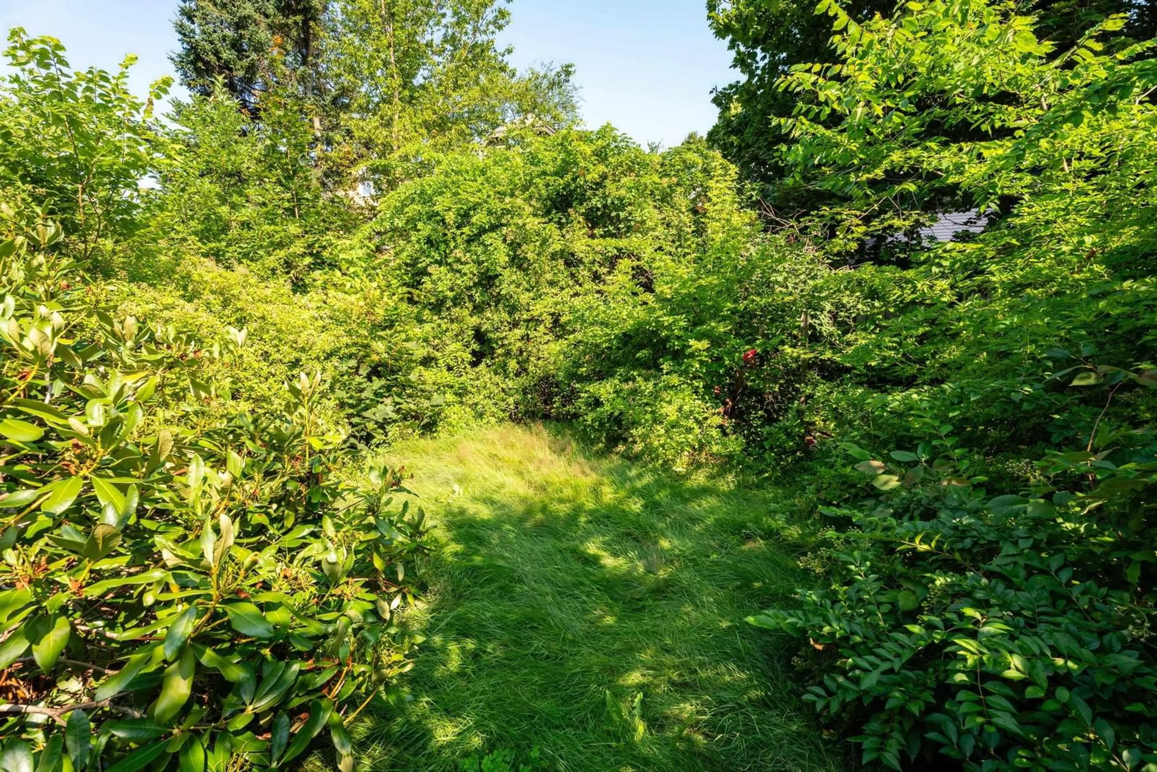 A pic from outside/outdoor area/front of a property/back of a property/a pic from drone, forest/trees view for 6301 Lawrence St, Halifax Nova Scotia B3L 1J8
