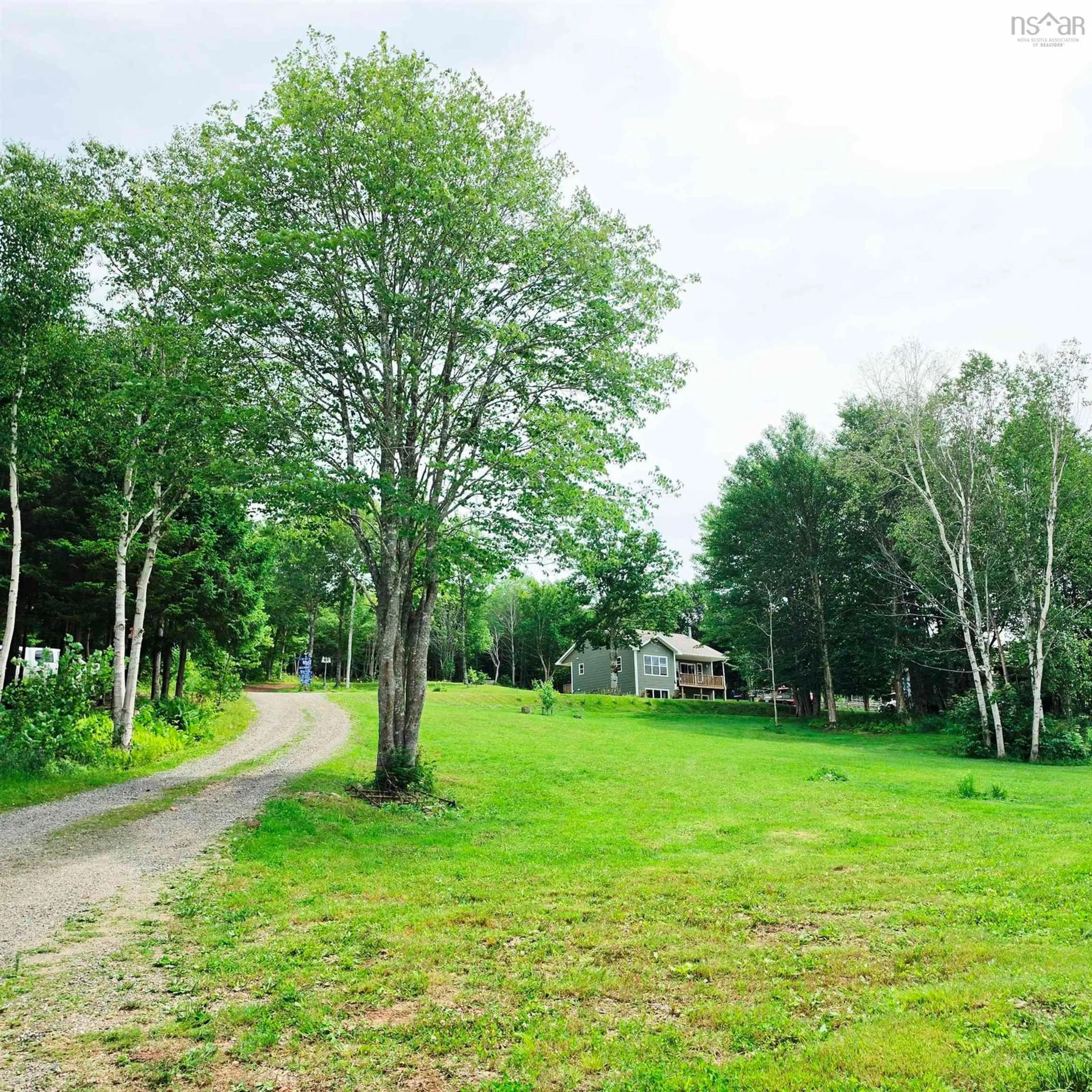 A pic from outside/outdoor area/front of a property/back of a property/a pic from drone, forest/trees view for 6775 Highlands Rd, Christmas Island Nova Scotia B1T 1L8