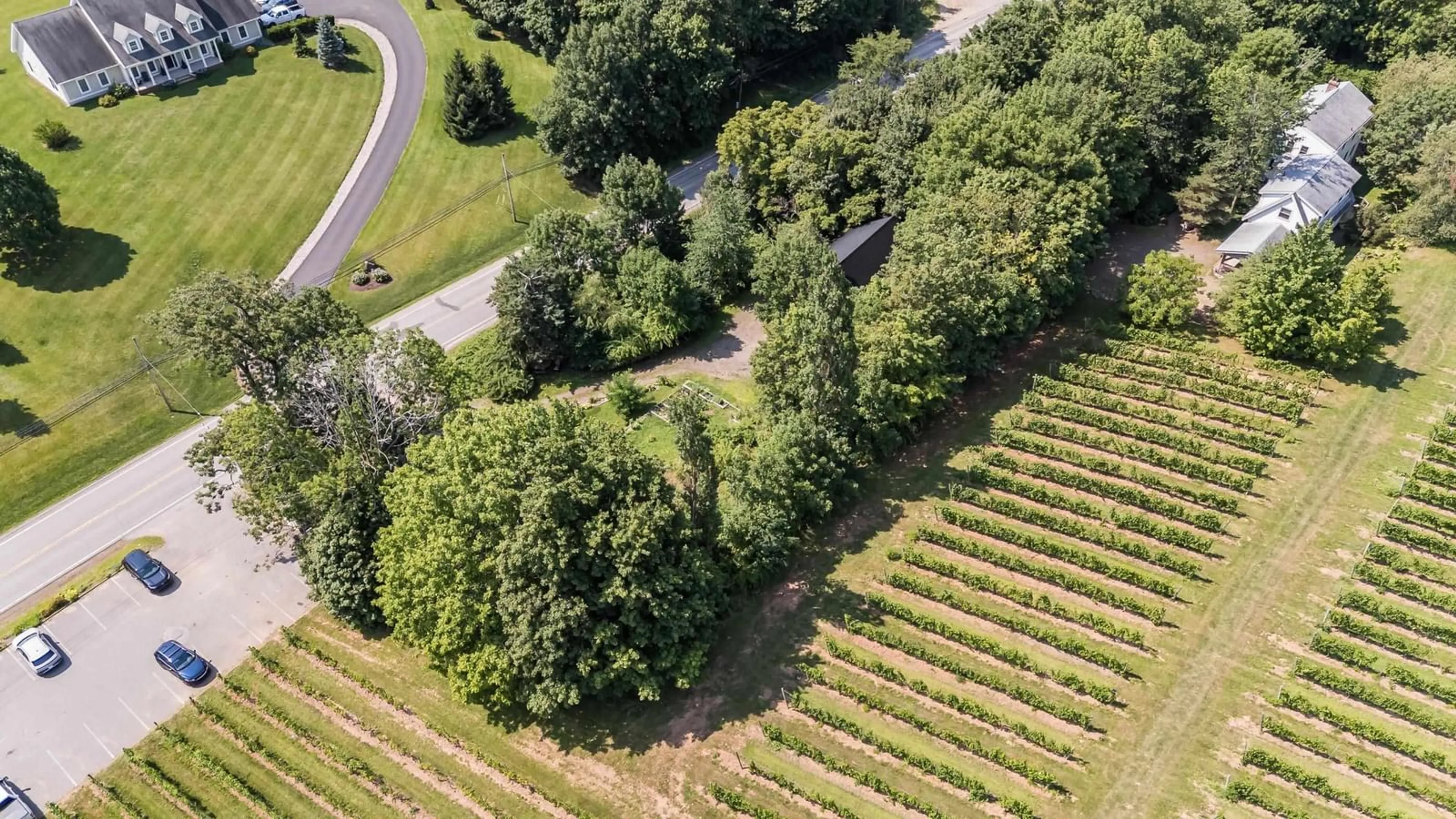 A pic from outside/outdoor area/front of a property/back of a property/a pic from drone, forest/trees view for 11589 Highway 1, Grand Pré Nova Scotia B0P 1M0