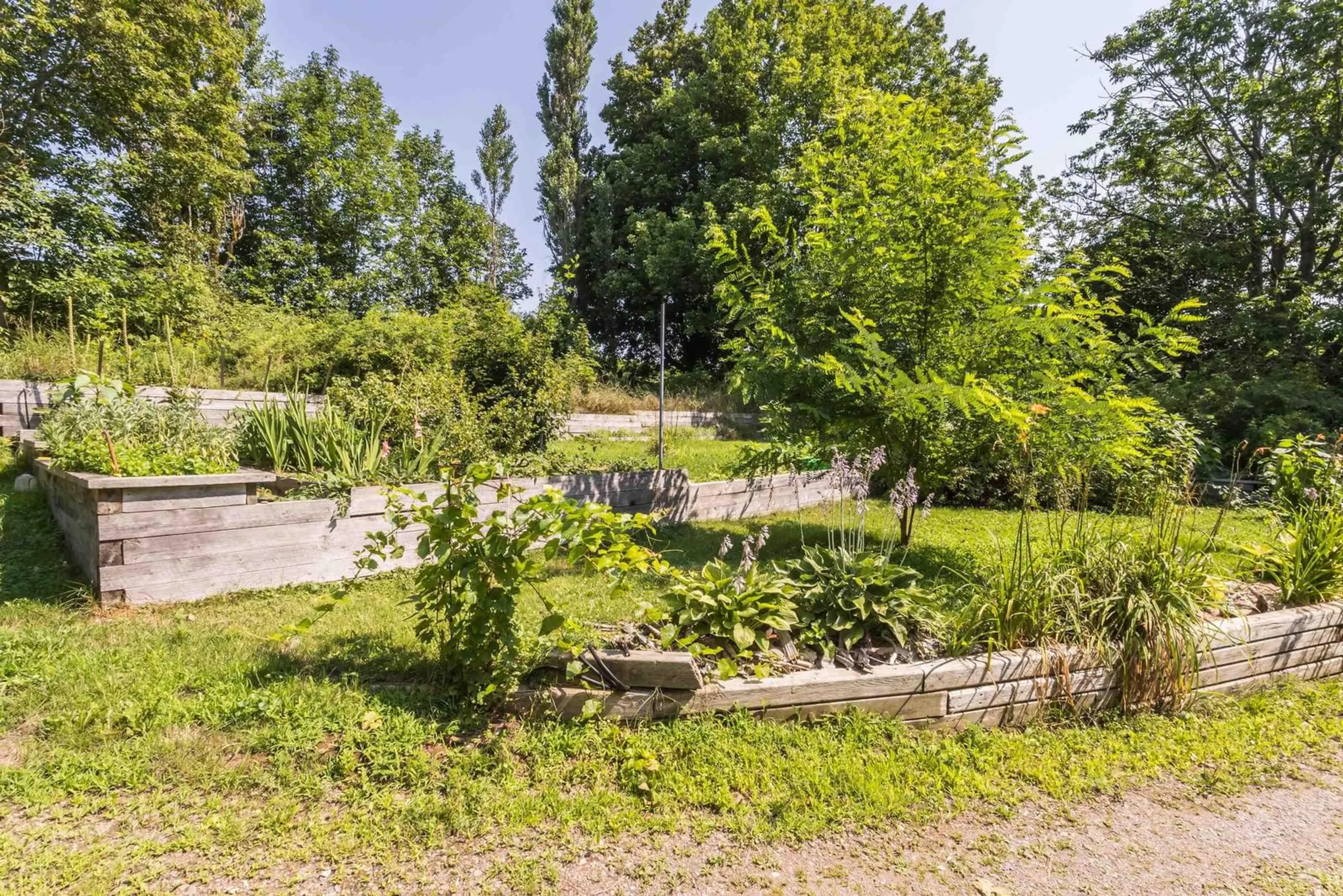 Patio, forest/trees view for 11589 Highway 1, Grand Pré Nova Scotia B0P 1M0