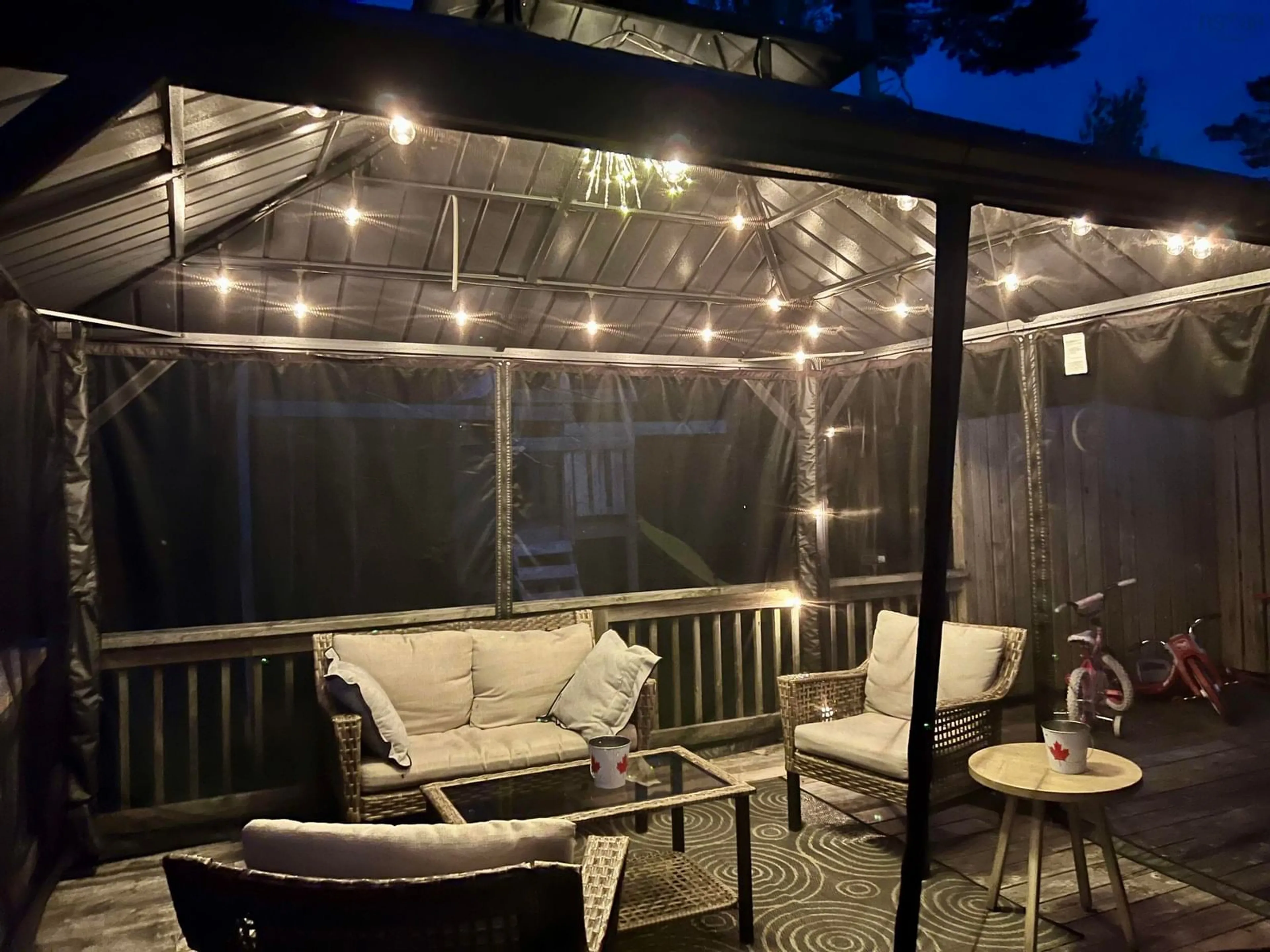 Patio, street for 123 Dragon Fly Lane Lane, Three Brooks Nova Scotia B0K 1H0
