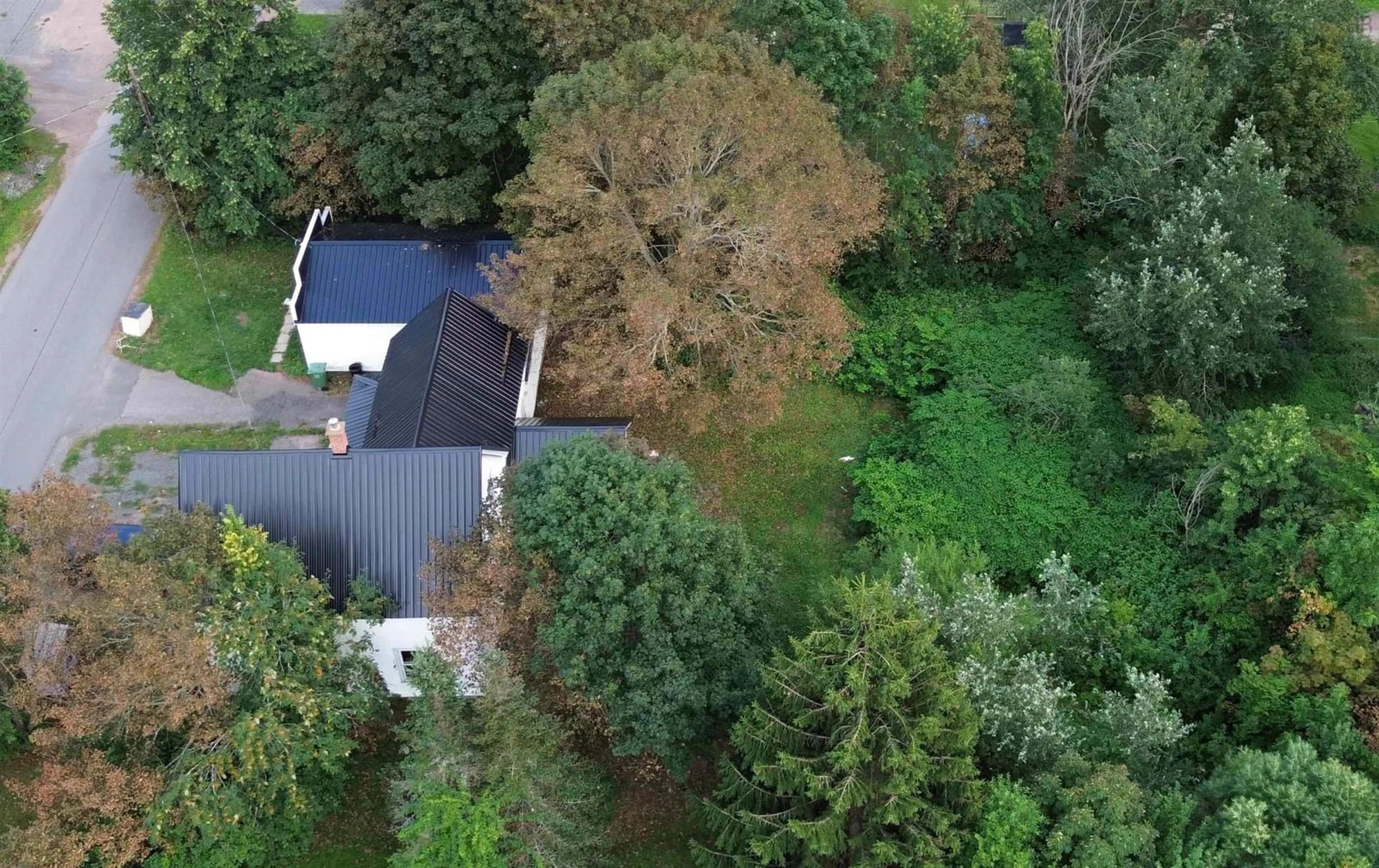A pic from outside/outdoor area/front of a property/back of a property/a pic from drone, forest/trees view for 95 Church St, Springhill Nova Scotia B0M 1X0