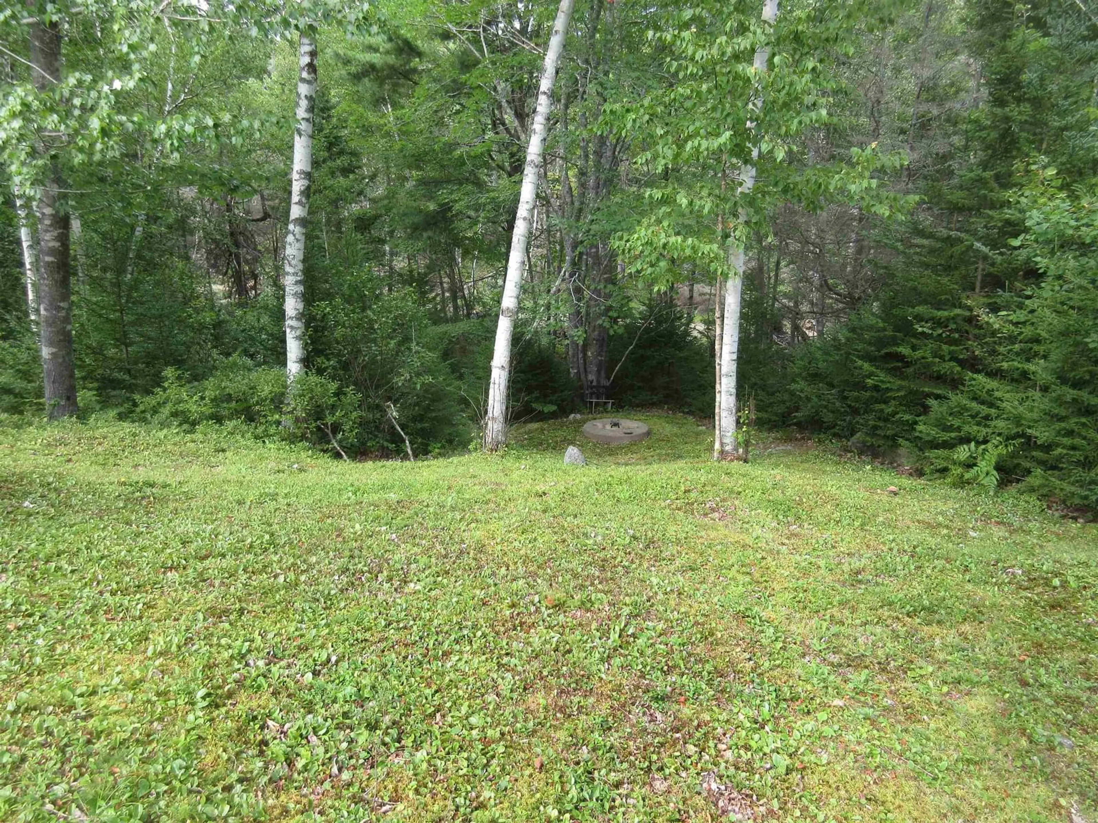 Unknown for 30 Woods Rd, Bayswater Nova Scotia B0J 1T0