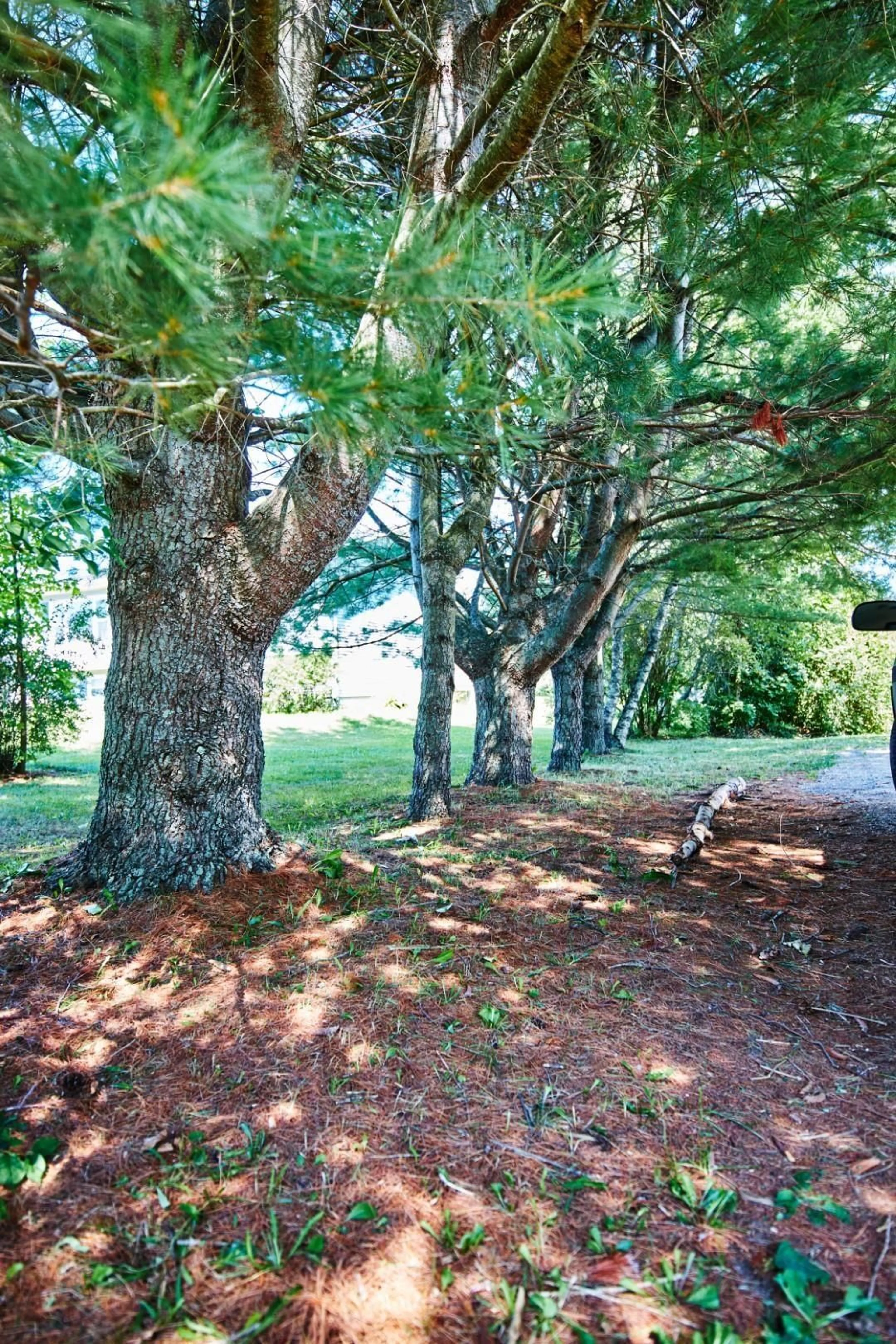 Unknown for 1072 J Jordan Rd, Canning Nova Scotia B0P 1H0