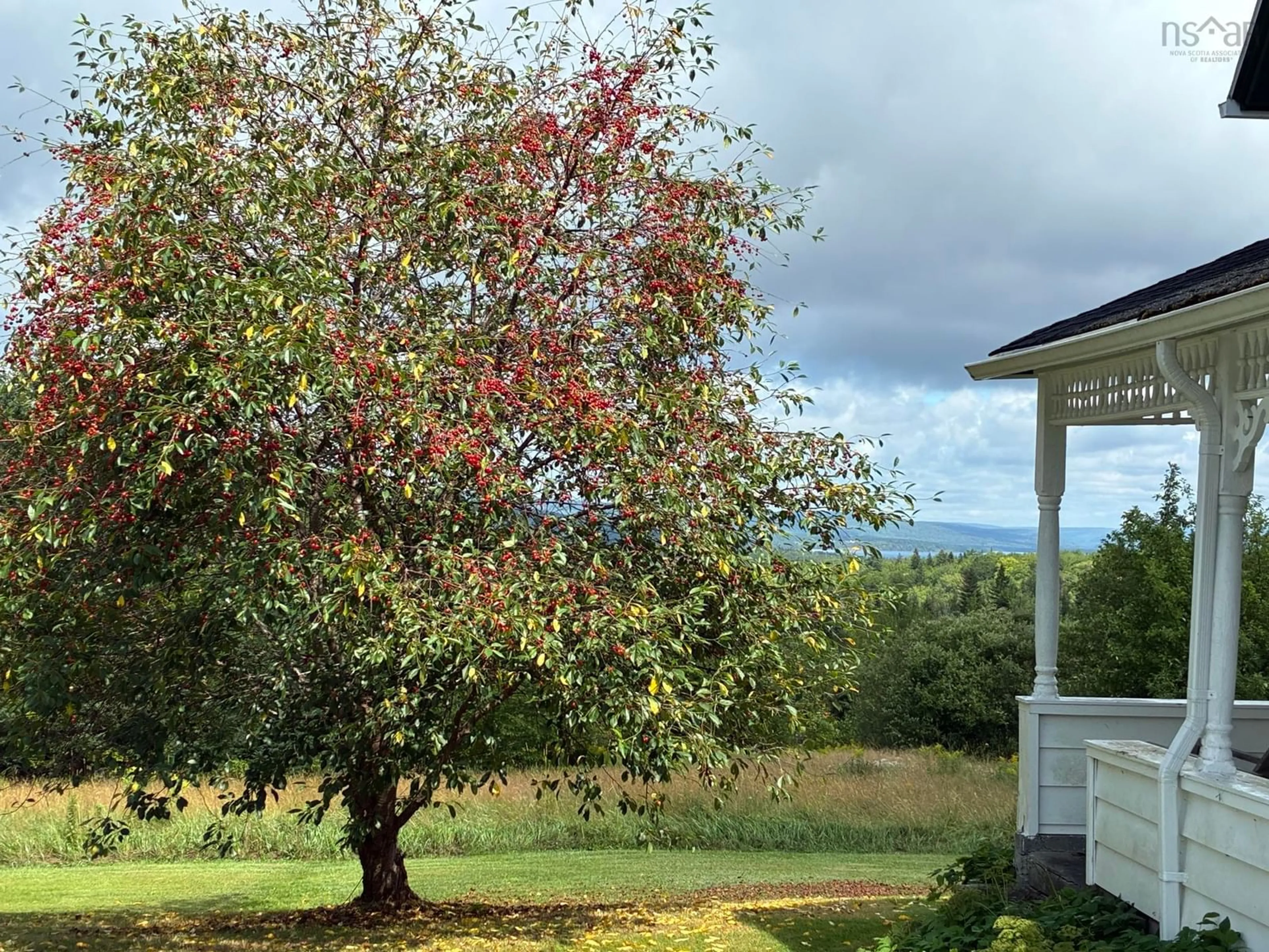 Unknown for 232 Mackinnon Rd, Hays River Nova Scotia B0E 1X0