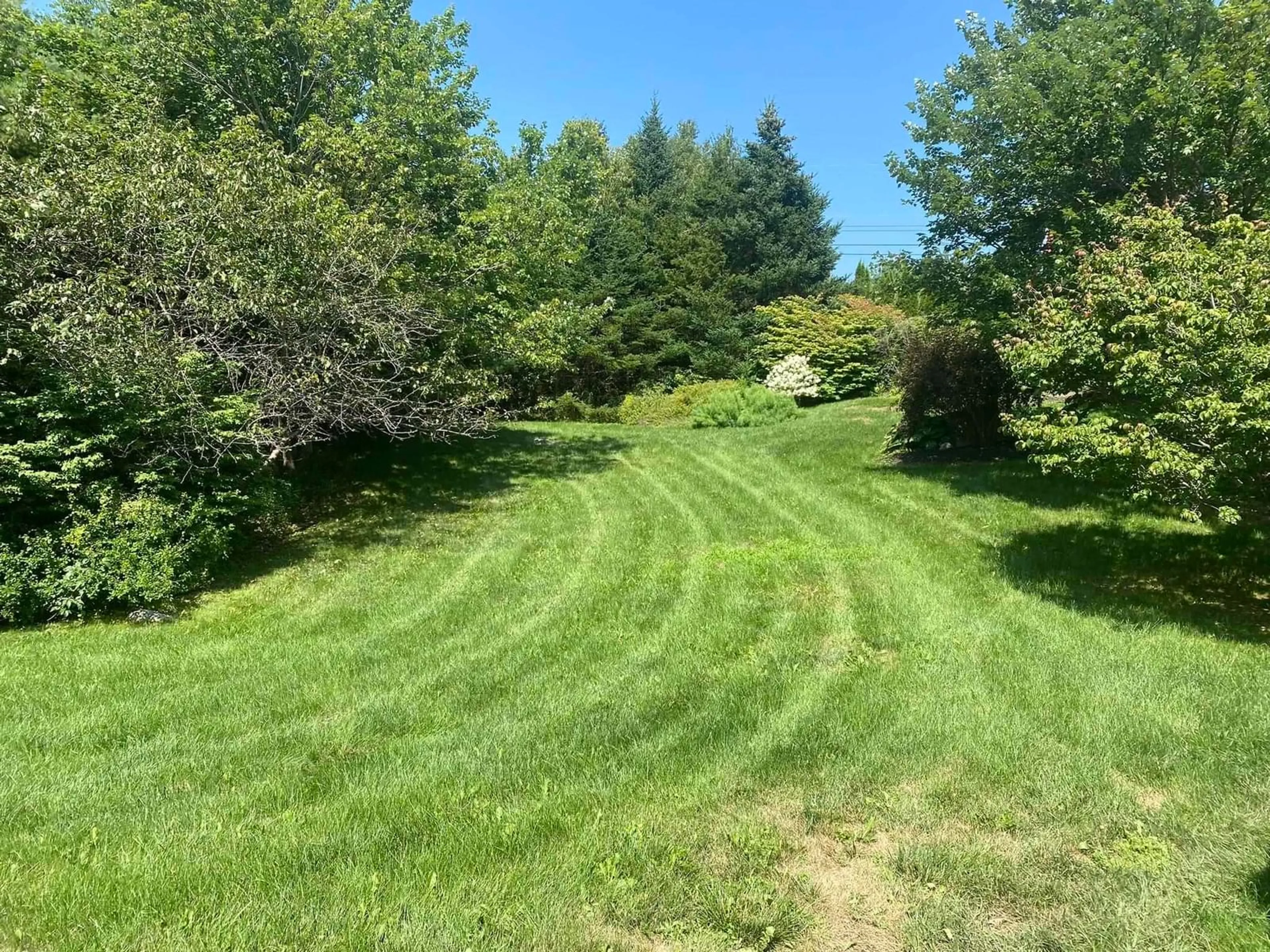 A pic from outside/outdoor area/front of a property/back of a property/a pic from drone, forest/trees view for 215 Westwood Blvd, Tantallon Nova Scotia B3Z 1N1