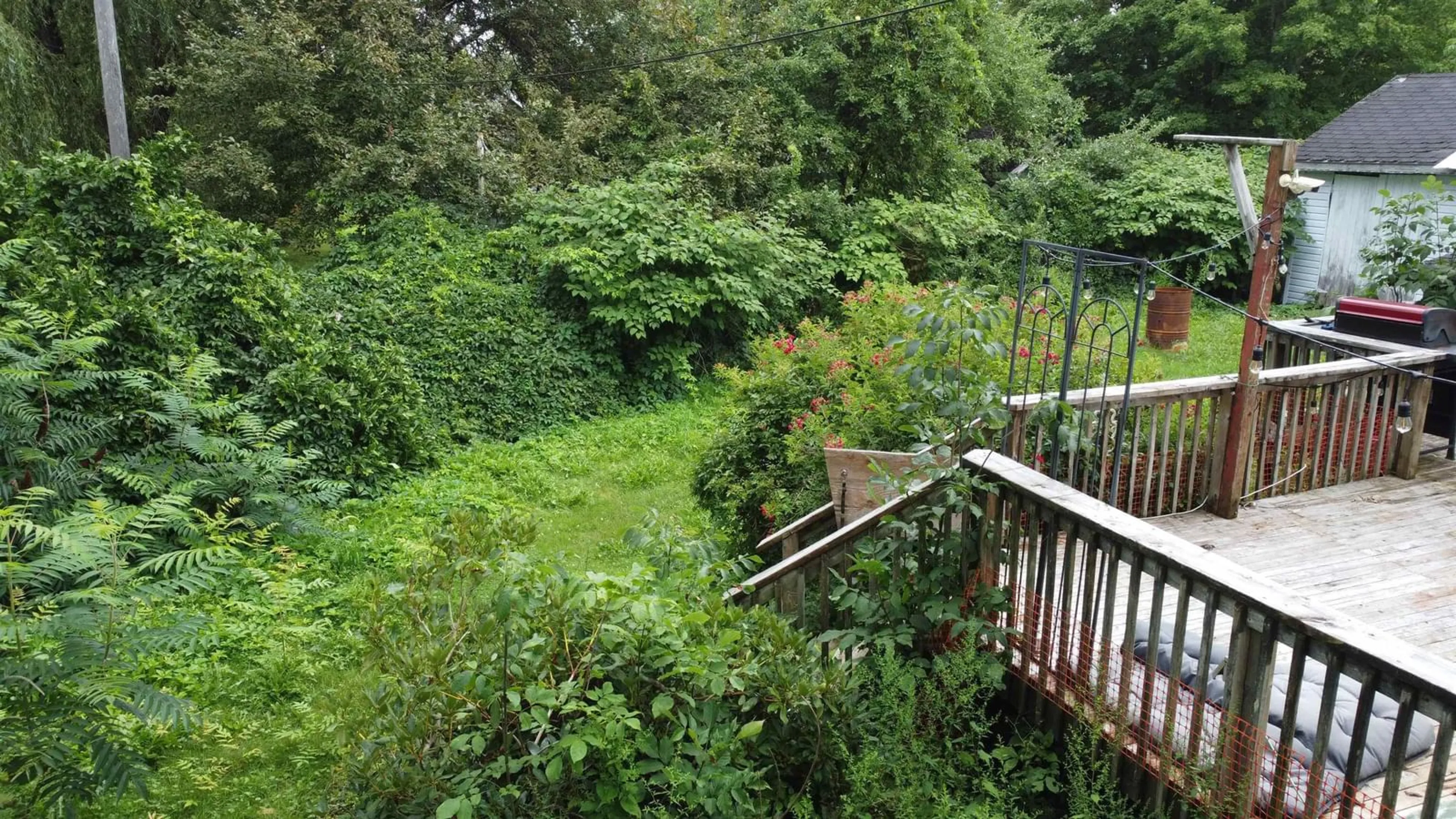 A pic from outside/outdoor area/front of a property/back of a property/a pic from drone, forest/trees view for 444 Ellershouse Rd, Ellershouse Nova Scotia B0N 1L0
