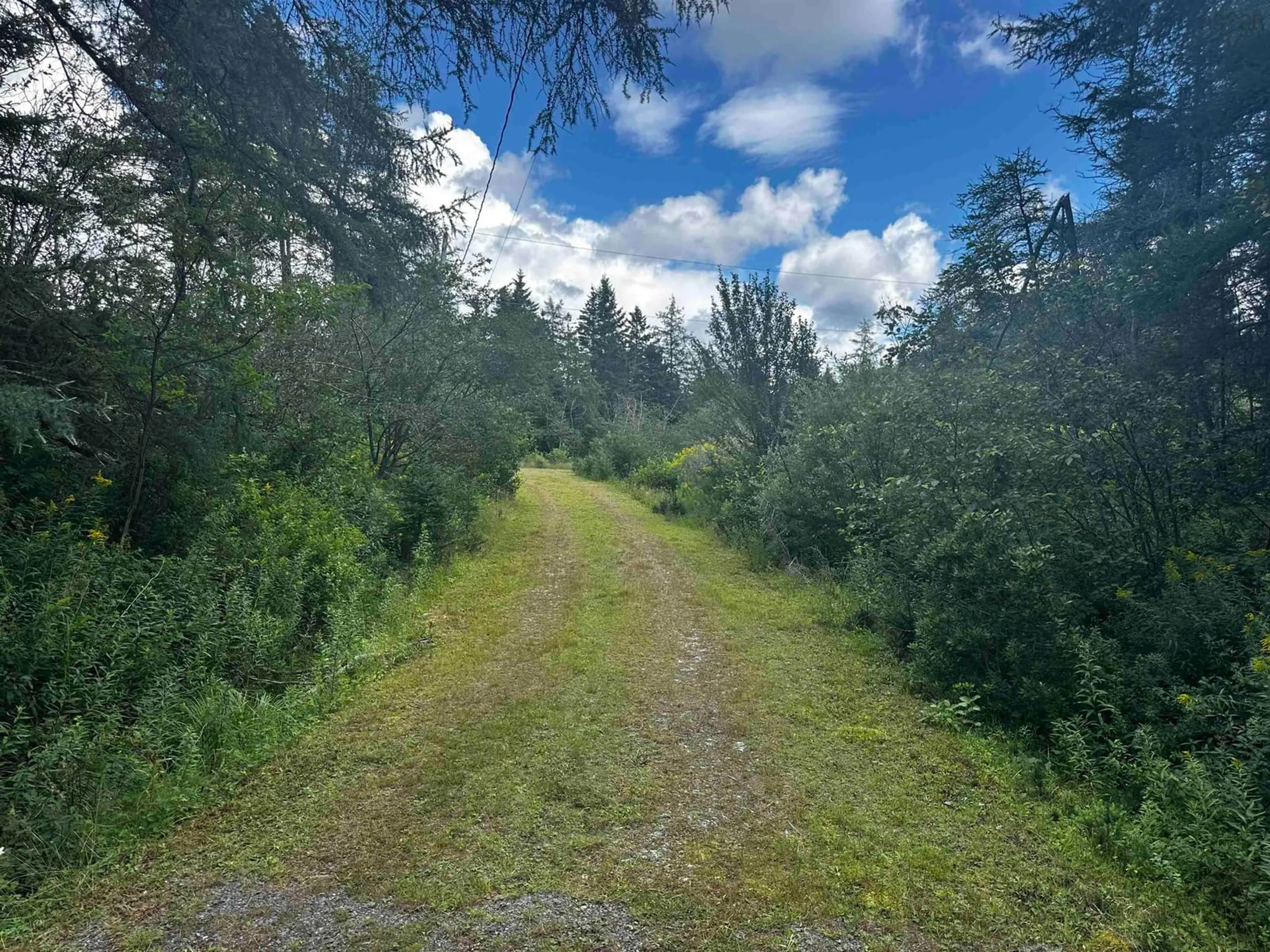 A pic from outside/outdoor area/front of a property/back of a property/a pic from drone, forest/trees view for 10 Gabe Macissac Dr, Lake Uist Nova Scotia B2E 0A1