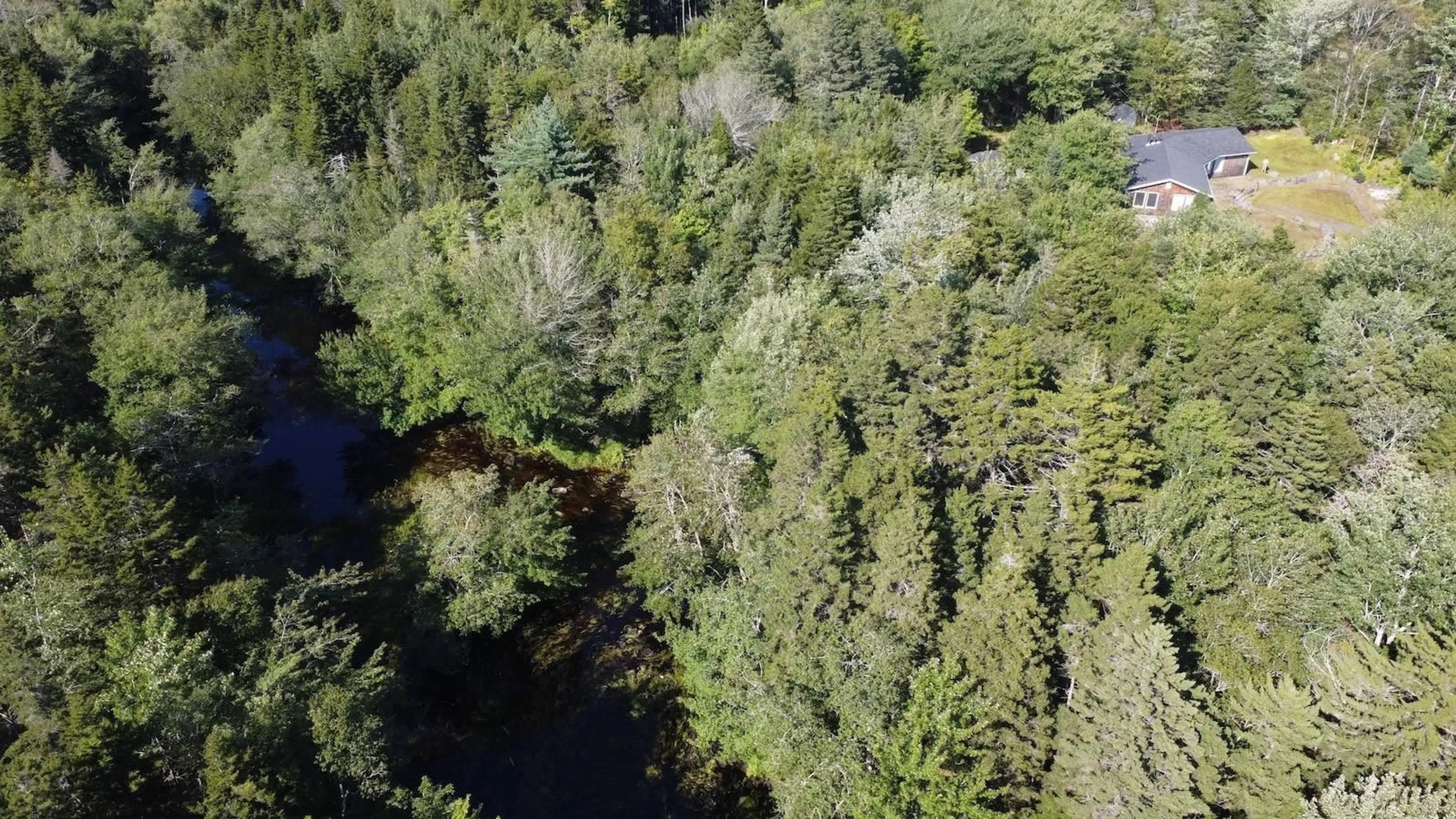 A pic from outside/outdoor area/front of a property/back of a property/a pic from drone, forest/trees view for 1679 Hectanooga Rd, Mayflower Nova Scotia B0W 2Y0