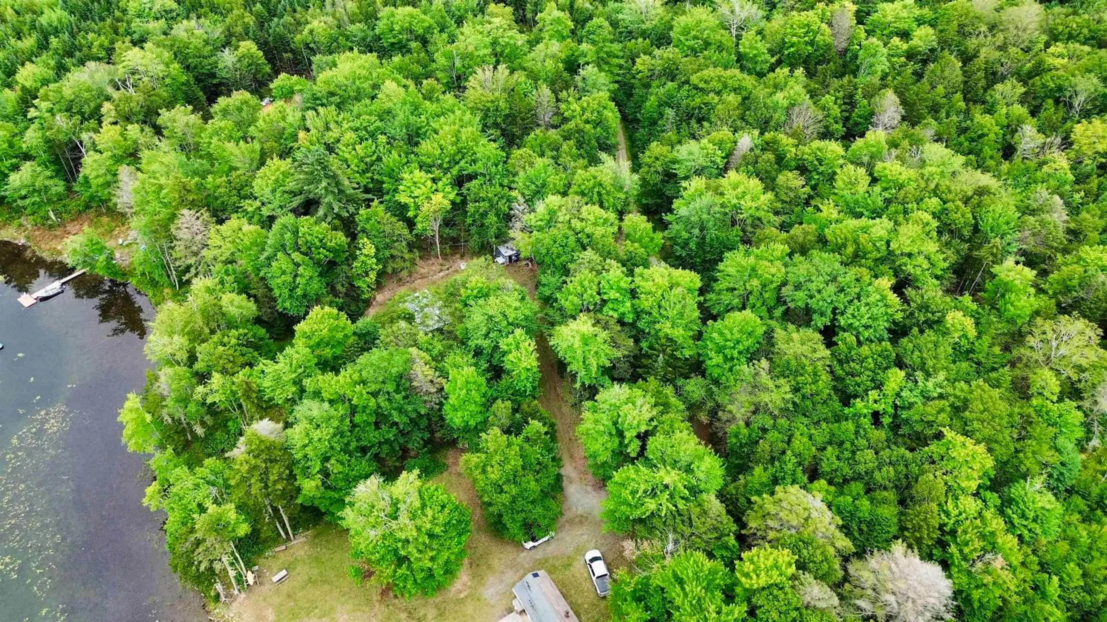 A pic from outside/outdoor area/front of a property/back of a property/a pic from drone, forest/trees view for Old North Range Rd #Lot 1, Ashmore Nova Scotia B0W 3T0