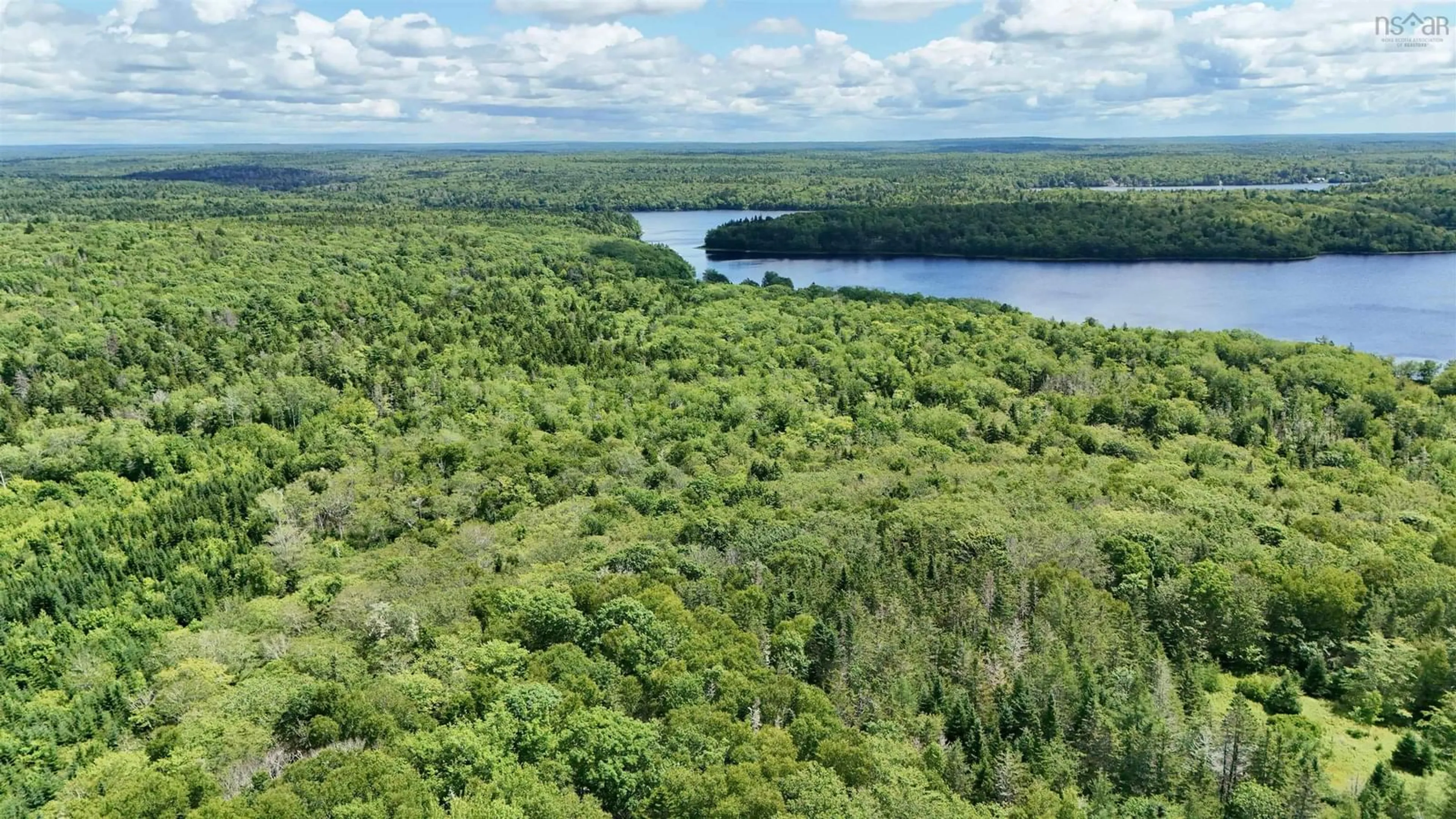 A pic from outside/outdoor area/front of a property/back of a property/a pic from drone, forest/trees view for 4364 Highway 340, Carleton Nova Scotia B5A 5P9
