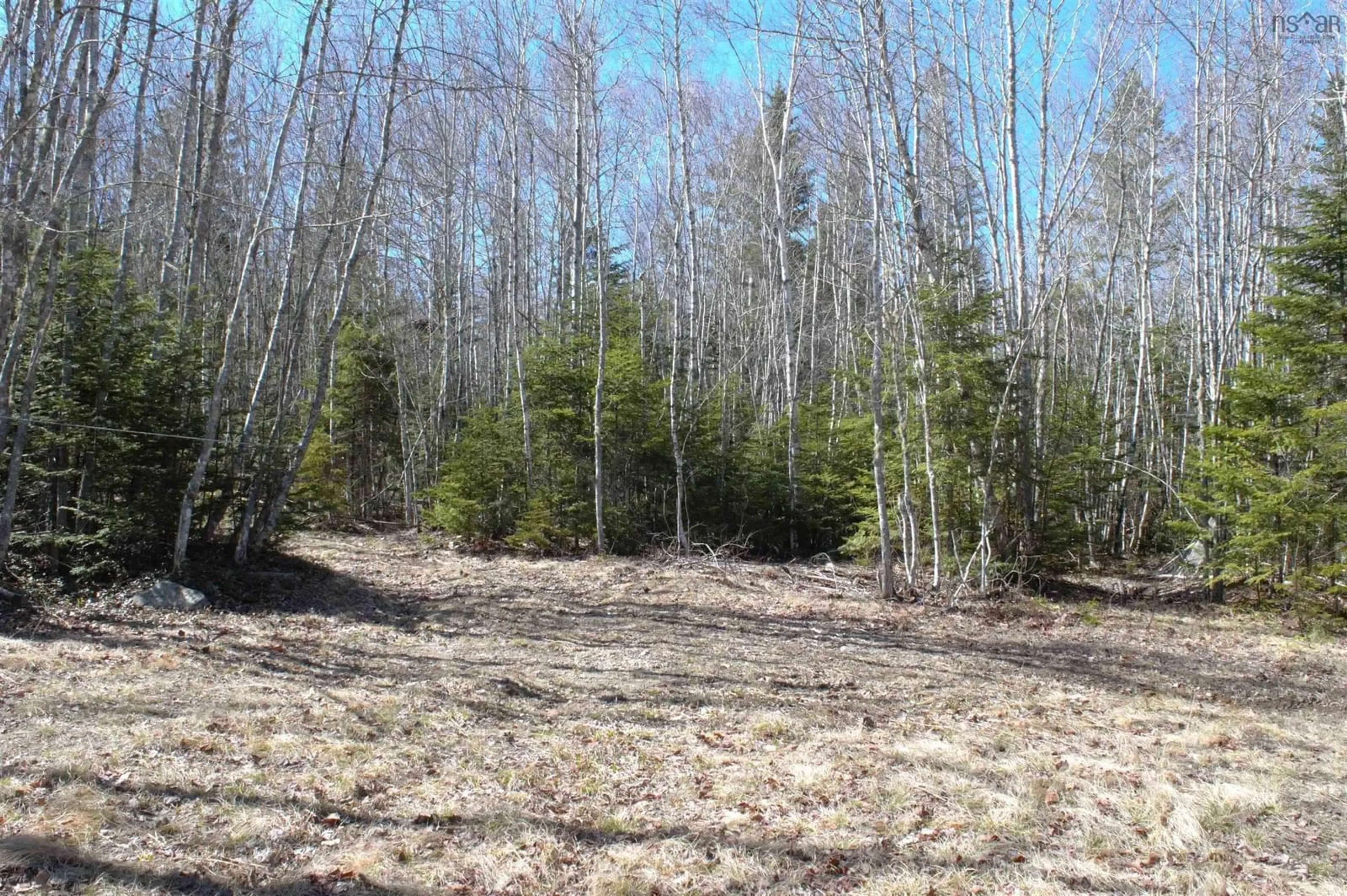 Blurry image for Lot Telegraph Rd, Bishopville Nova Scotia B0P 1P0