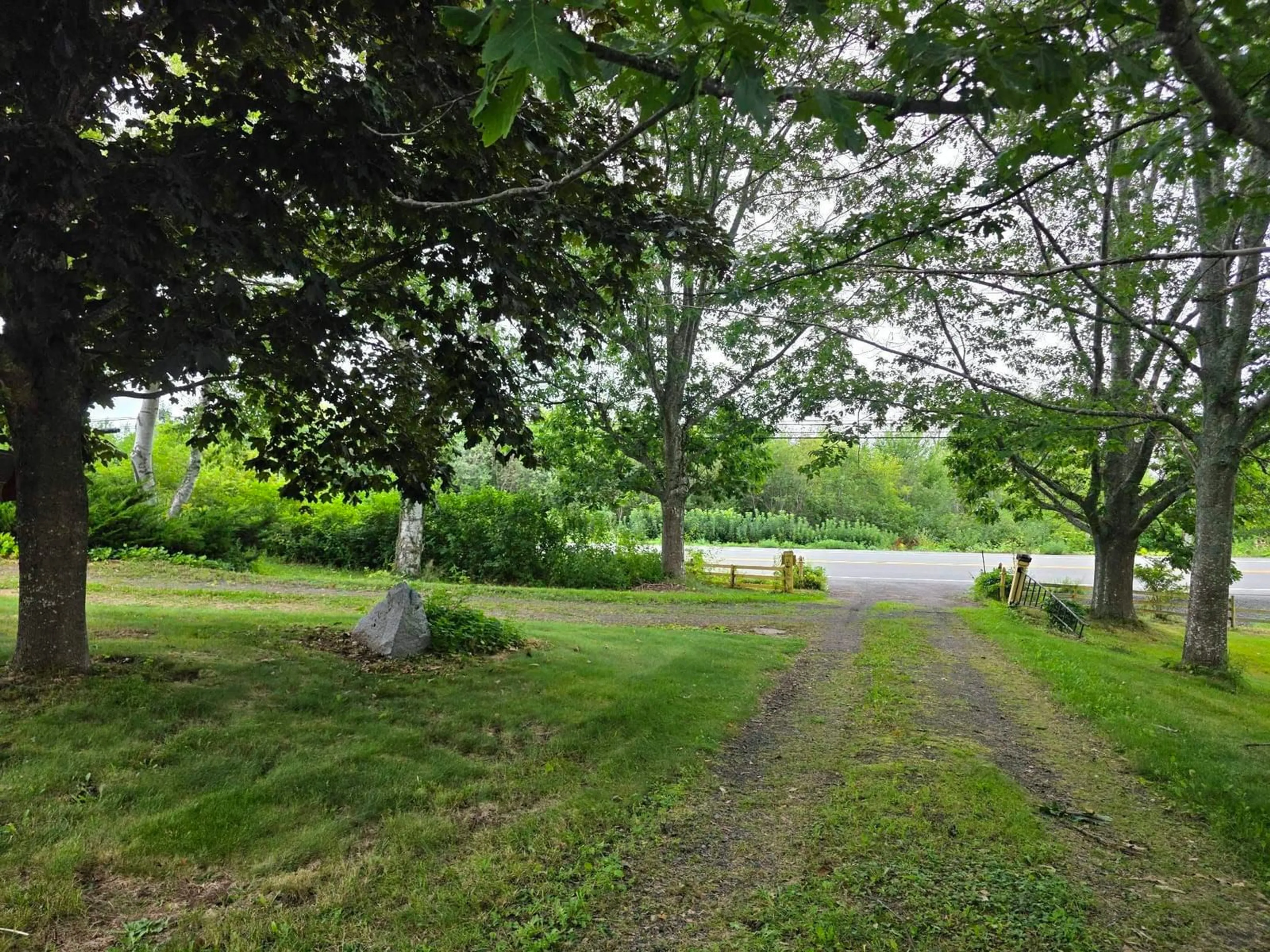 A pic from outside/outdoor area/front of a property/back of a property/a pic from drone, forest/trees view for 3802 Highway 6 Hwy, Tatamagouche Nova Scotia B0K 1V0