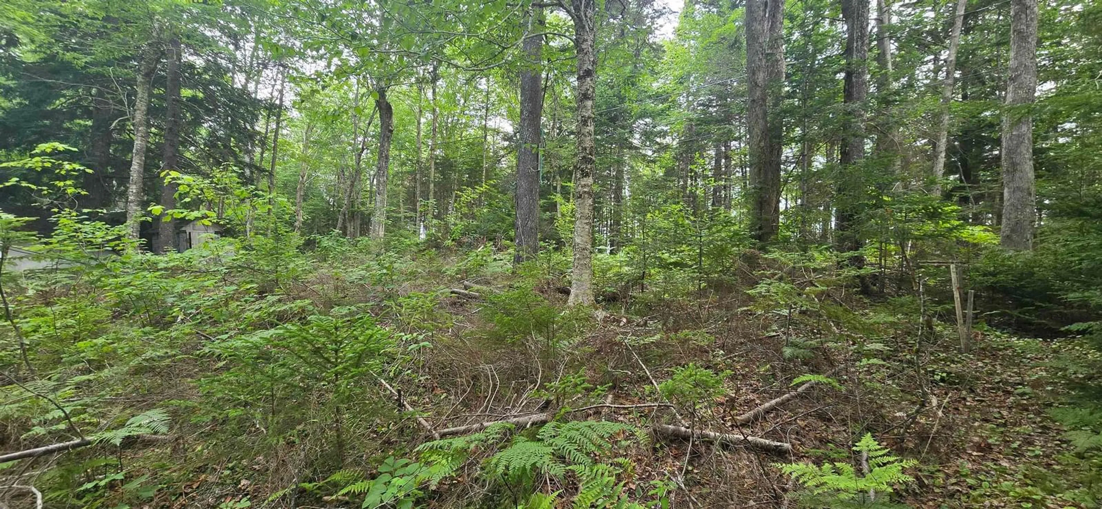 Blurry image for 15 Johnson Rd, Mount Uniacke Nova Scotia B0N 1Z0