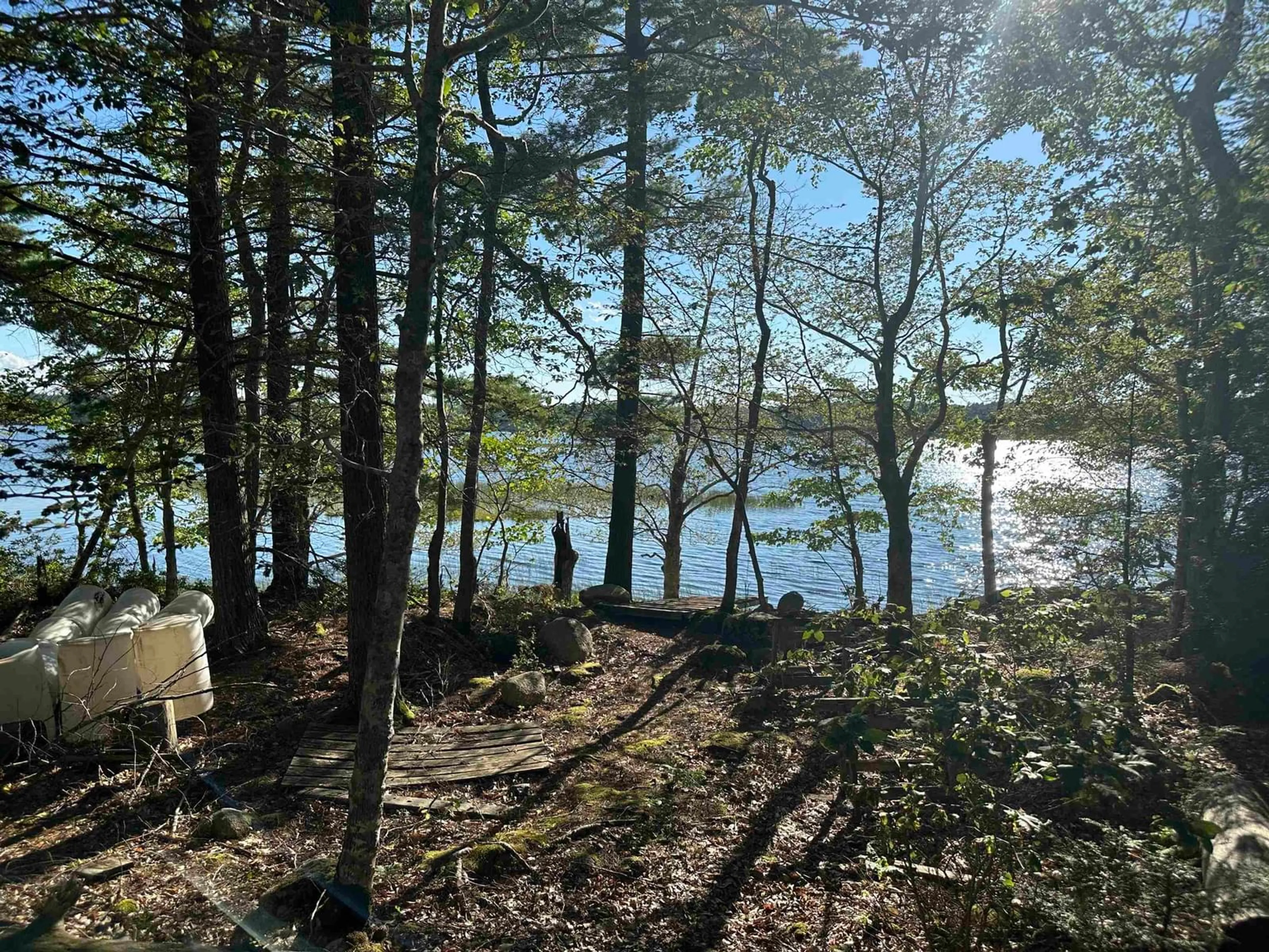 A pic from outside/outdoor area/front of a property/back of a property/a pic from drone, forest/trees view for 51 Maplesue Point Dr, Molega Nova Scotia B0T 1X0