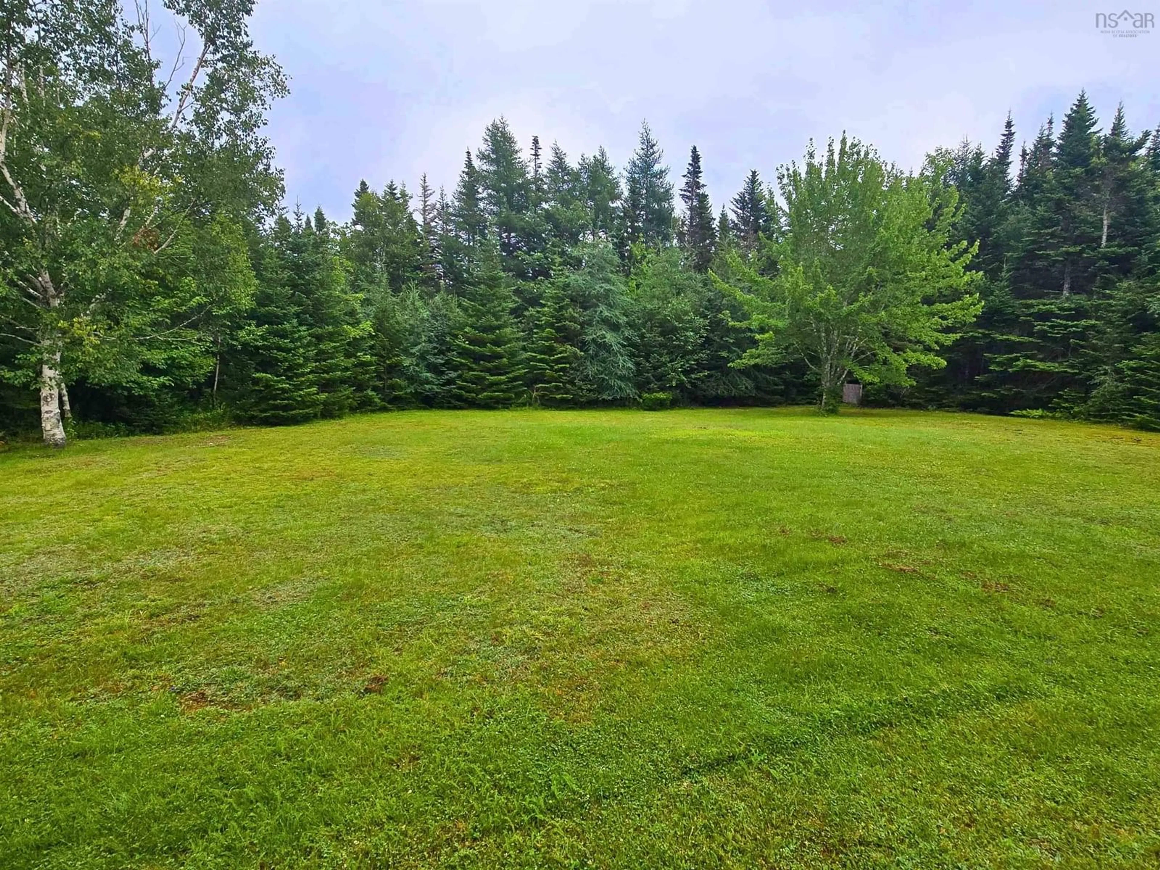A pic from outside/outdoor area/front of a property/back of a property/a pic from drone, forest/trees view for 21 Lakefront Dr, Loch Lomond Nova Scotia B2E 1B3
