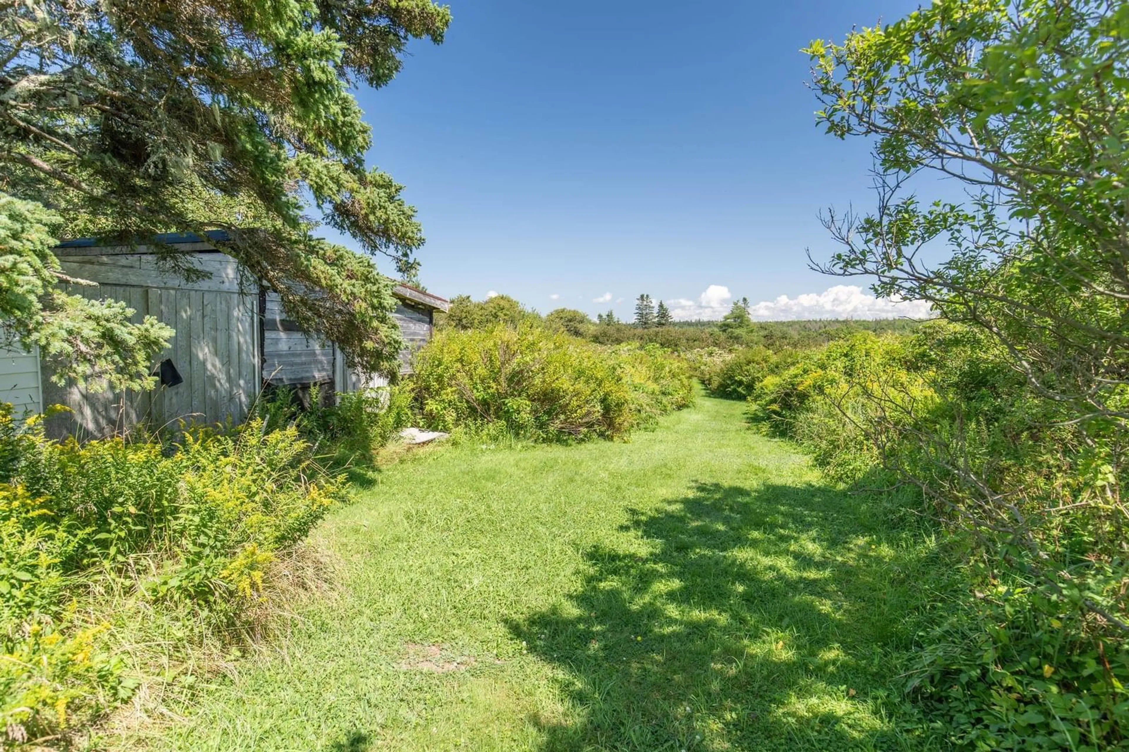 A pic from outside/outdoor area/front of a property/back of a property/a pic from drone, water/lake/river/ocean view for 4596 Highway 1, Woodvale Nova Scotia B0W 3T0