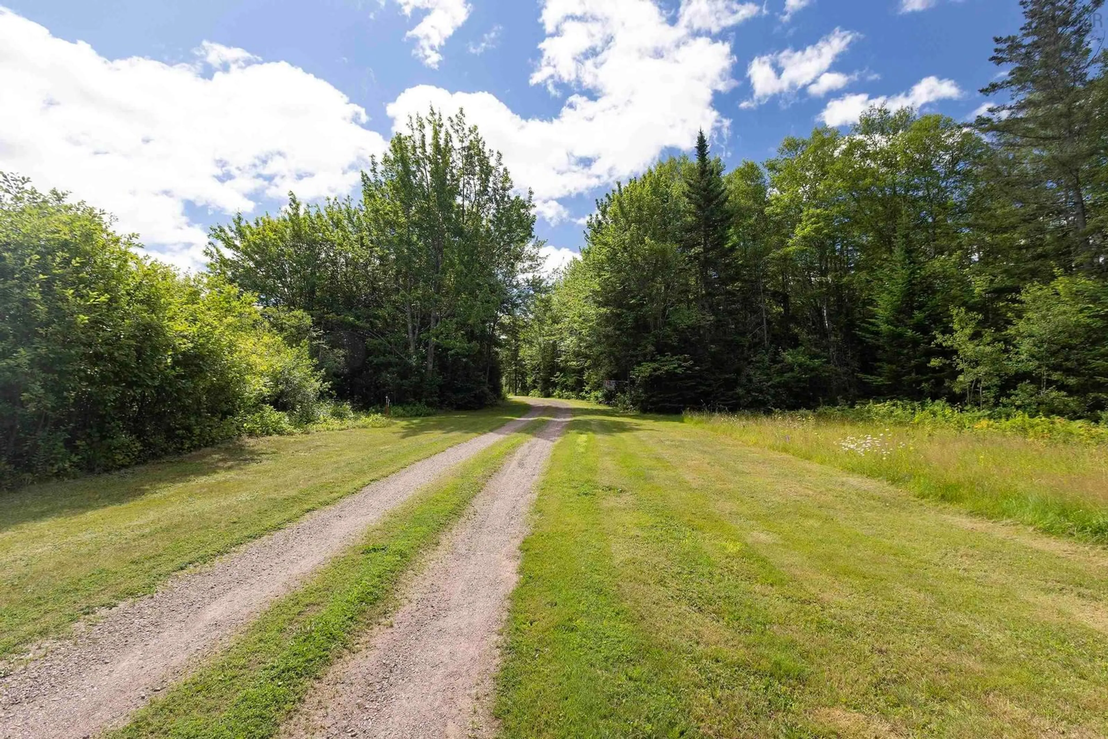 A pic from outside/outdoor area/front of a property/back of a property/a pic from drone, forest/trees view for 302 Hastings Rd, Hastings Nova Scotia B4H 3Y1