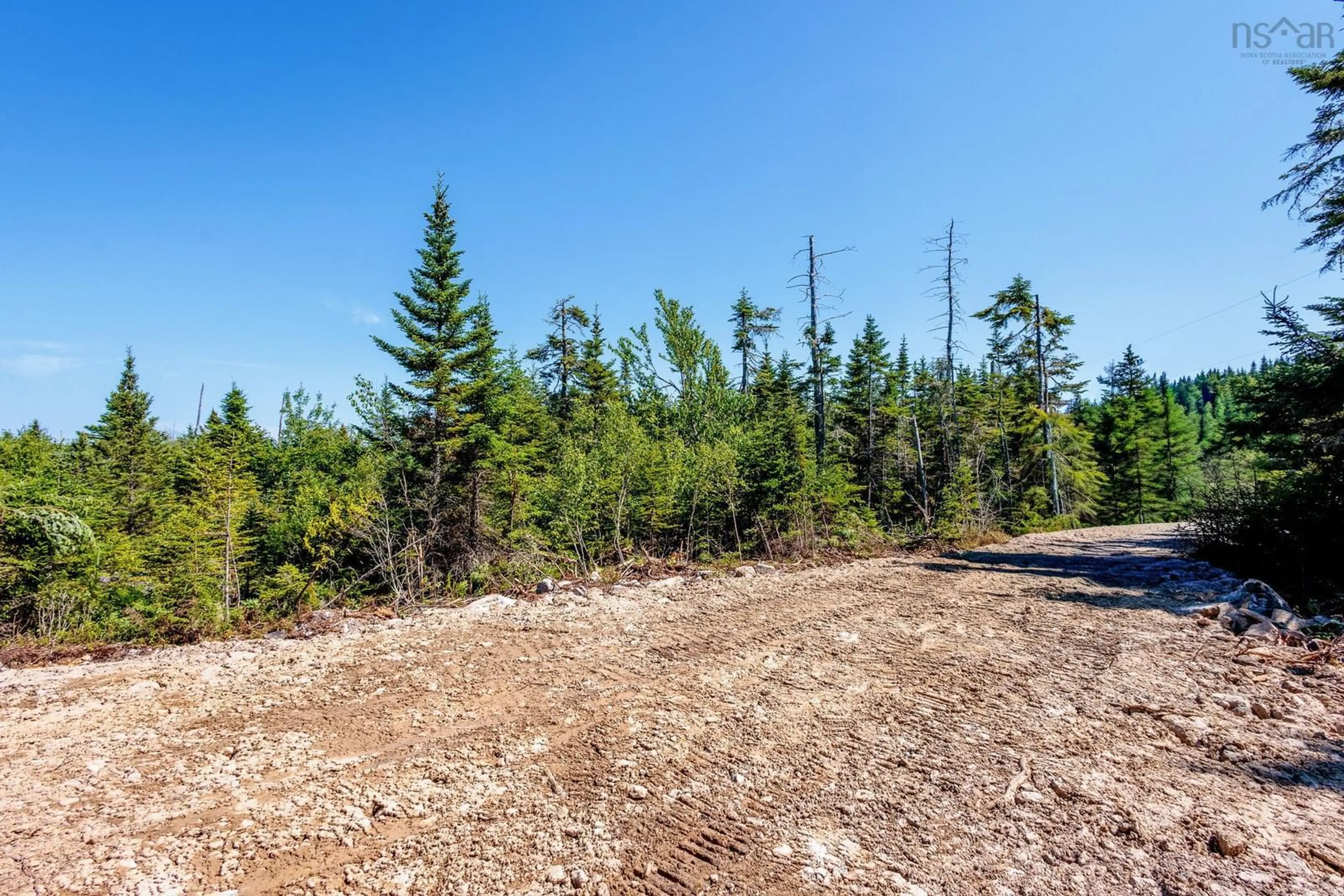 A pic from outside/outdoor area/front of a property/back of a property/a pic from drone, forest/trees view for Lot 4D West Petpeswick Rd, West Petpeswick Nova Scotia B0J 2L0