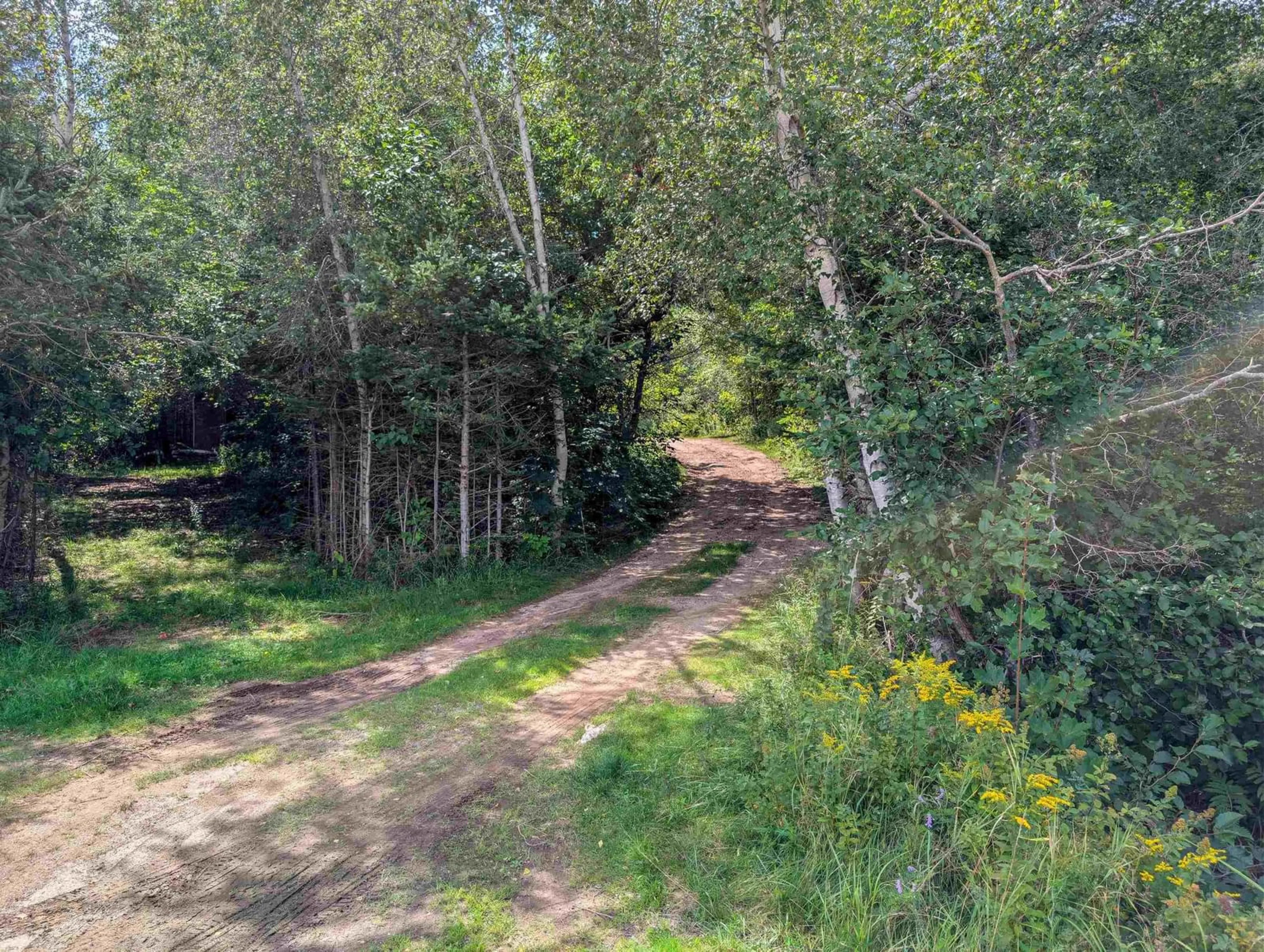 A pic from outside/outdoor area/front of a property/back of a property/a pic from drone, forest/trees view for 1002 West Dalhousie Rd, Lake La Rose Nova Scotia B0S 1A0