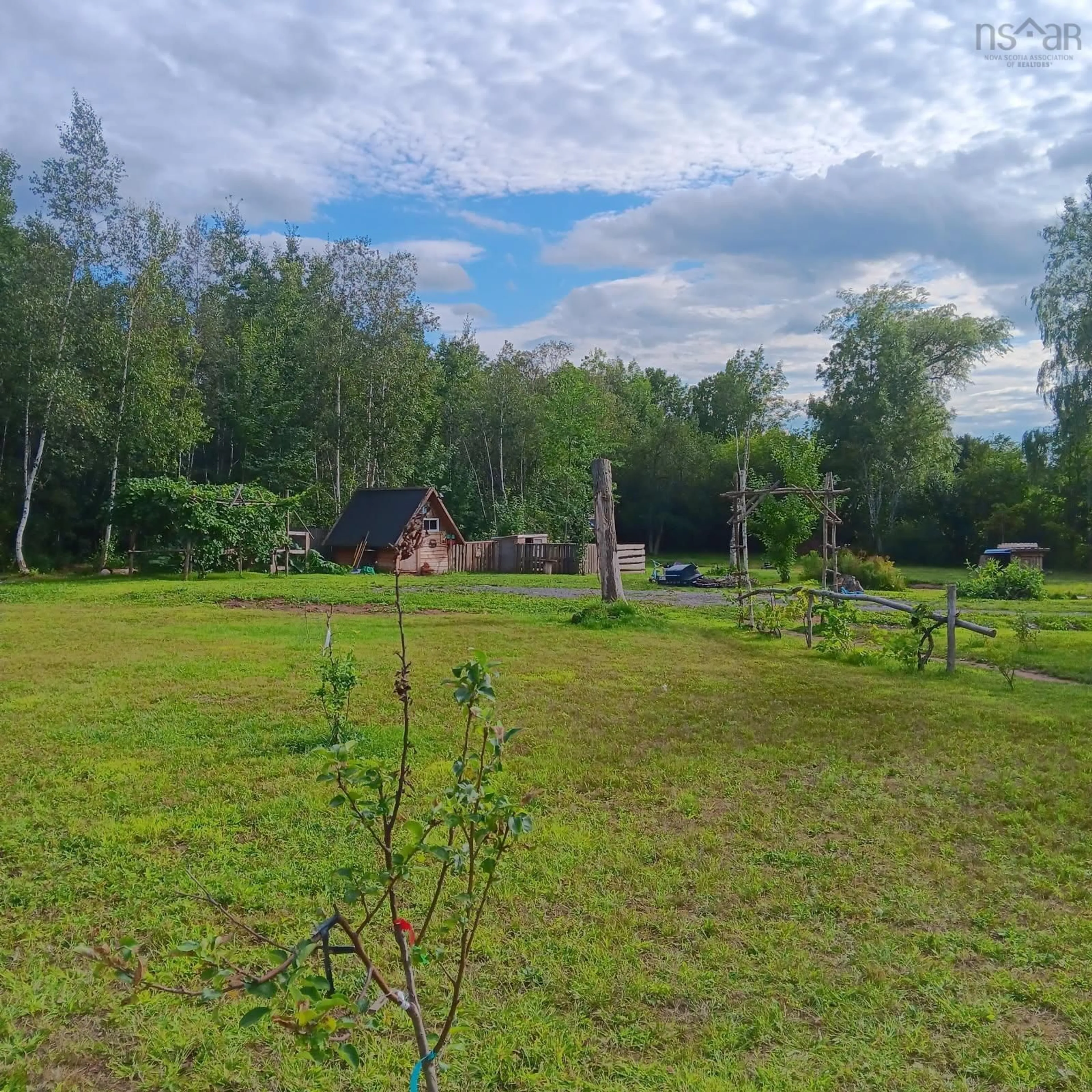 A pic from outside/outdoor area/front of a property/back of a property/a pic from drone, forest/trees view for 5734 Pictou Landing Rd, Pictou Landing Nova Scotia B0K 1X0