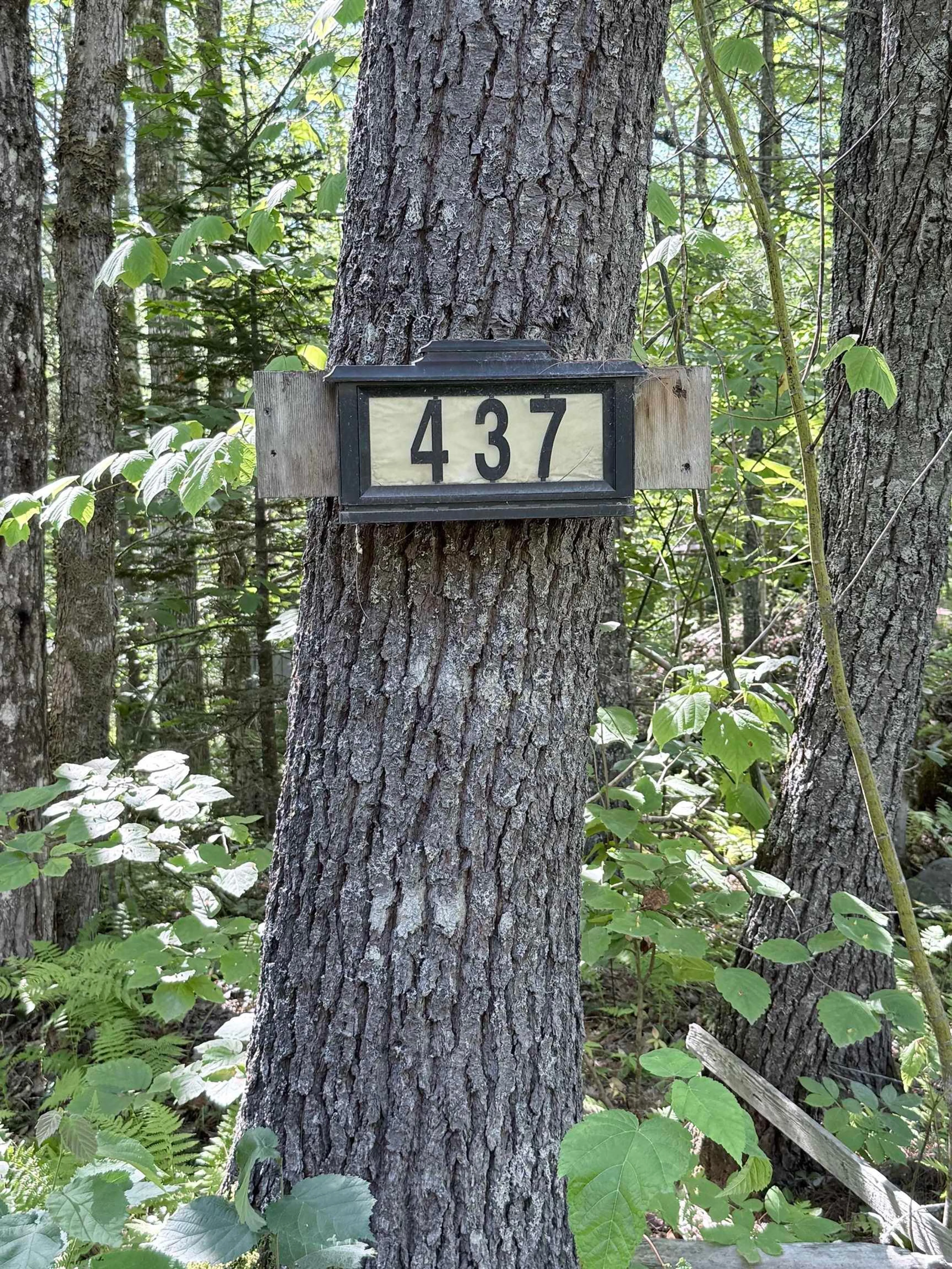 Unknown for 437 Baker Point Rd, Molega North Nova Scotia B0T 1X0