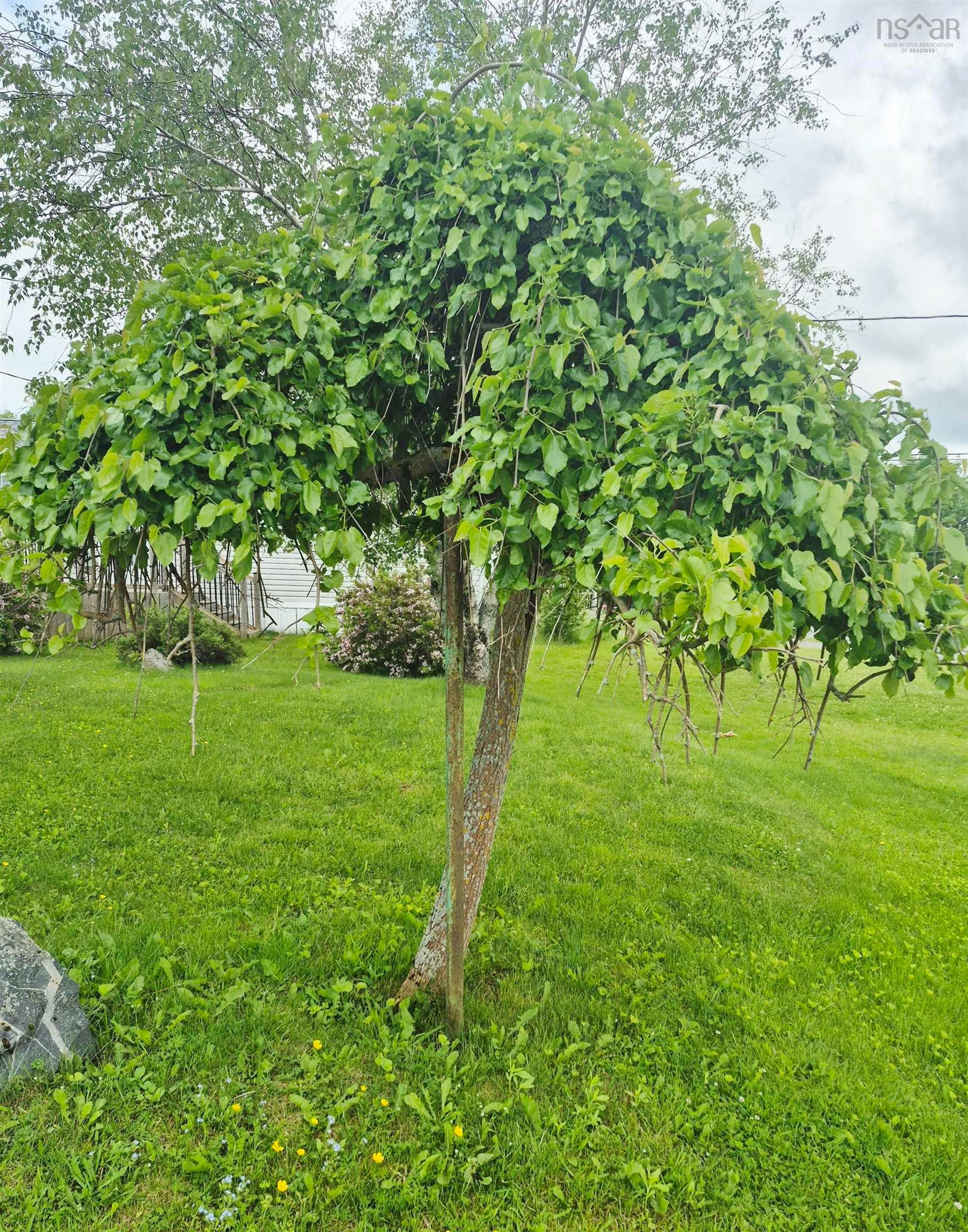Patio, street for 68 Hillcrest Ave, Bible Hill Nova Scotia B2N 4L3