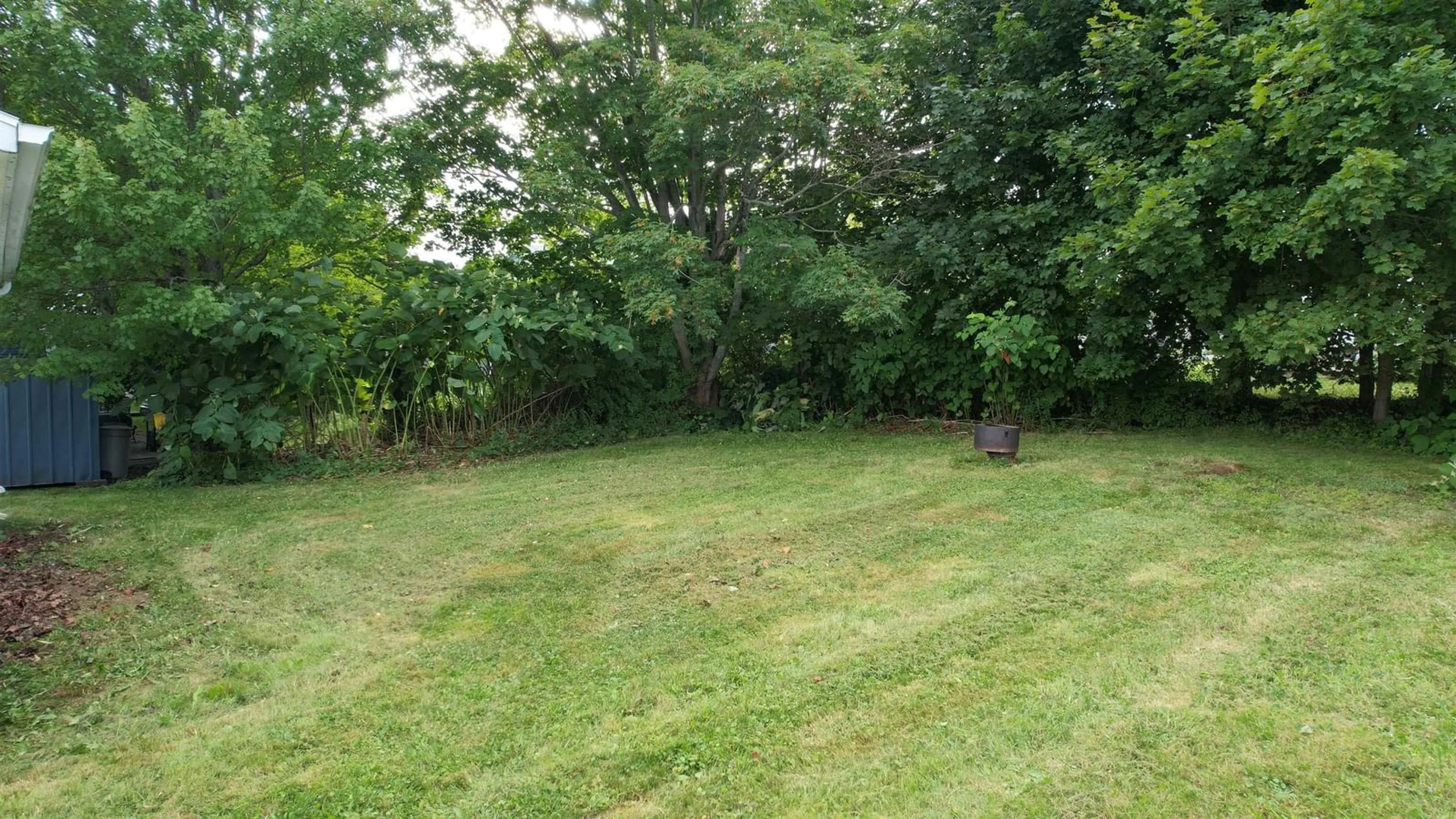 A pic from outside/outdoor area/front of a property/back of a property/a pic from drone, forest/trees view for 162 Upper Mclean St, Glace Bay Nova Scotia B1A 2L3