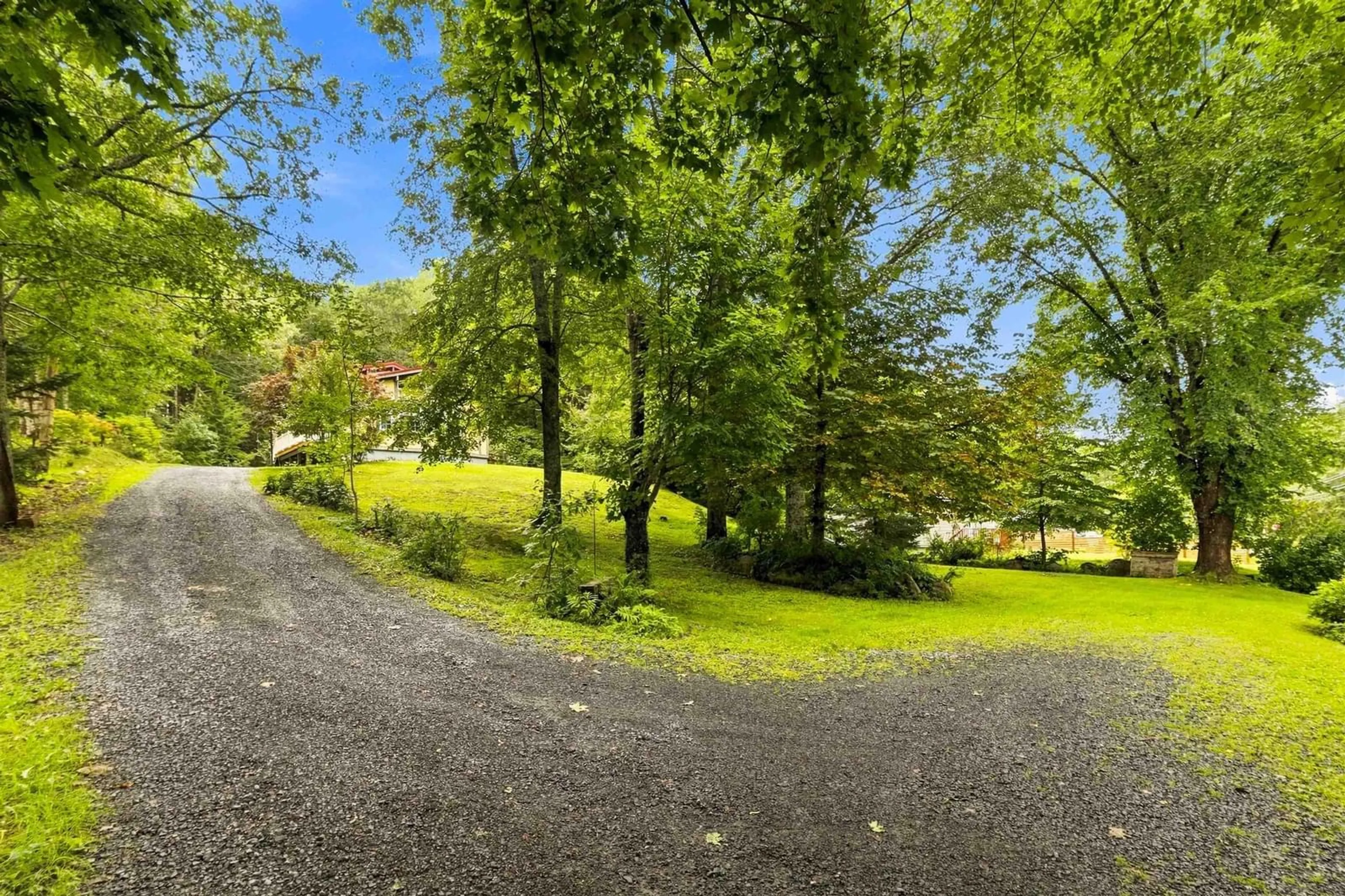 A pic from outside/outdoor area/front of a property/back of a property/a pic from drone, forest/trees view for 804 331 Hwy, Conquerall Bank Nova Scotia B4V 0H6