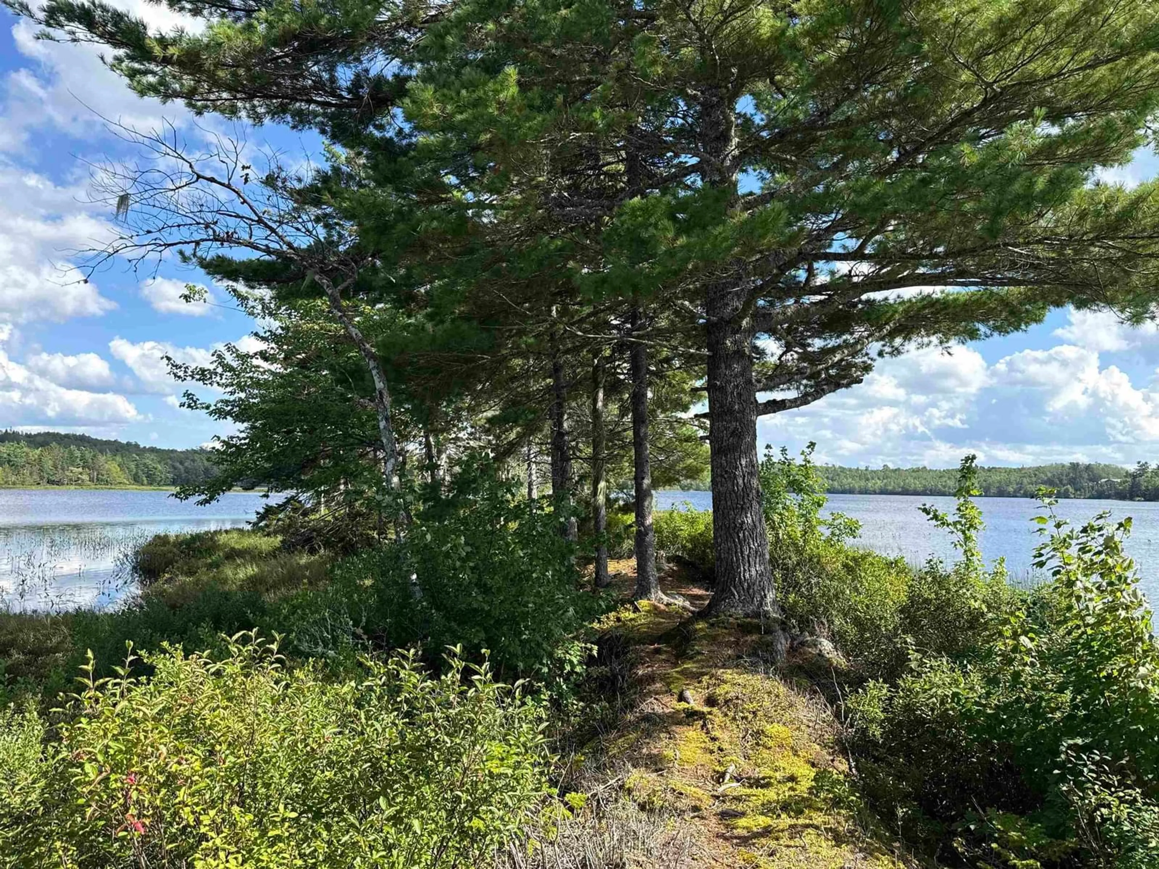 A pic from outside/outdoor area/front of a property/back of a property/a pic from drone, water/lake/river/ocean view for 1368 East Dalhousie Rd, East Dalhousie Nova Scotia B0R 1H0