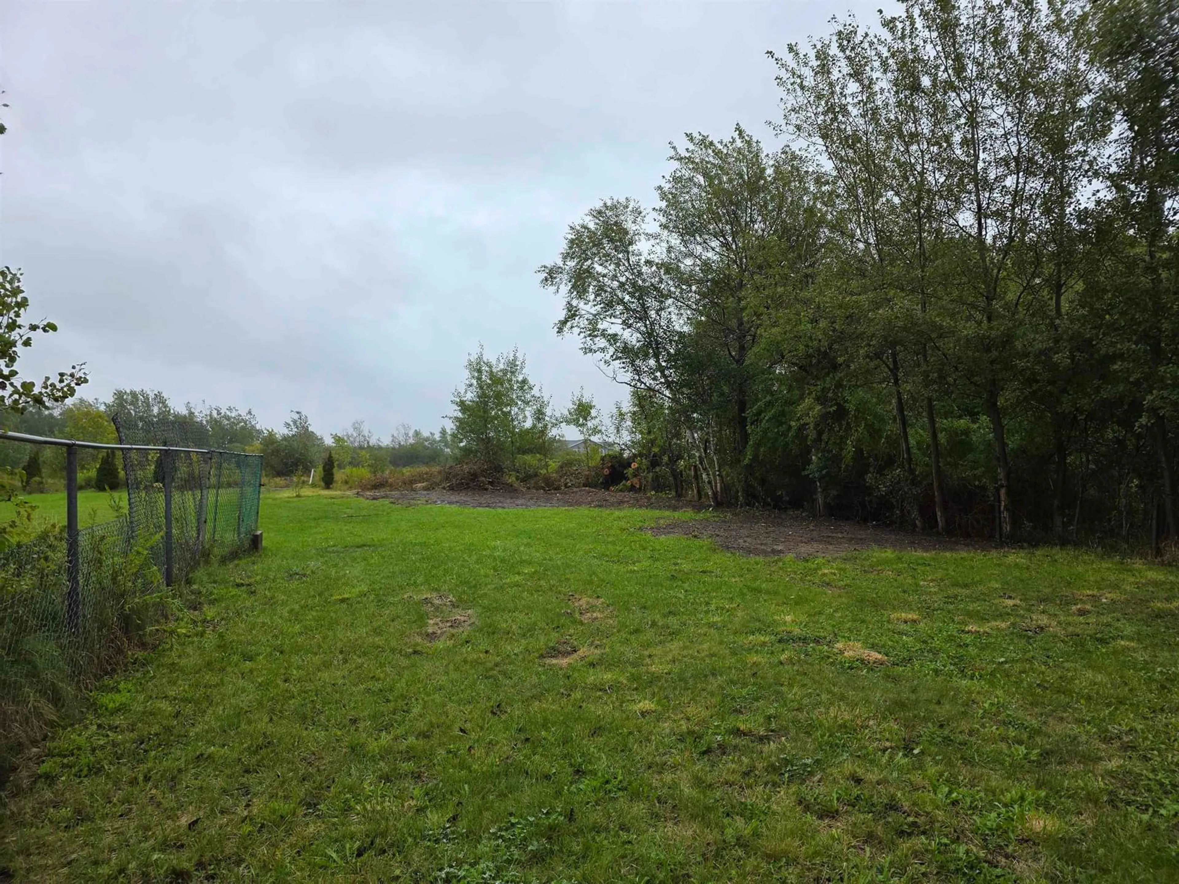 A pic from outside/outdoor area/front of a property/back of a property/a pic from drone, forest/trees view for 34 Forrest St, Sydney Nova Scotia B1P 3C2