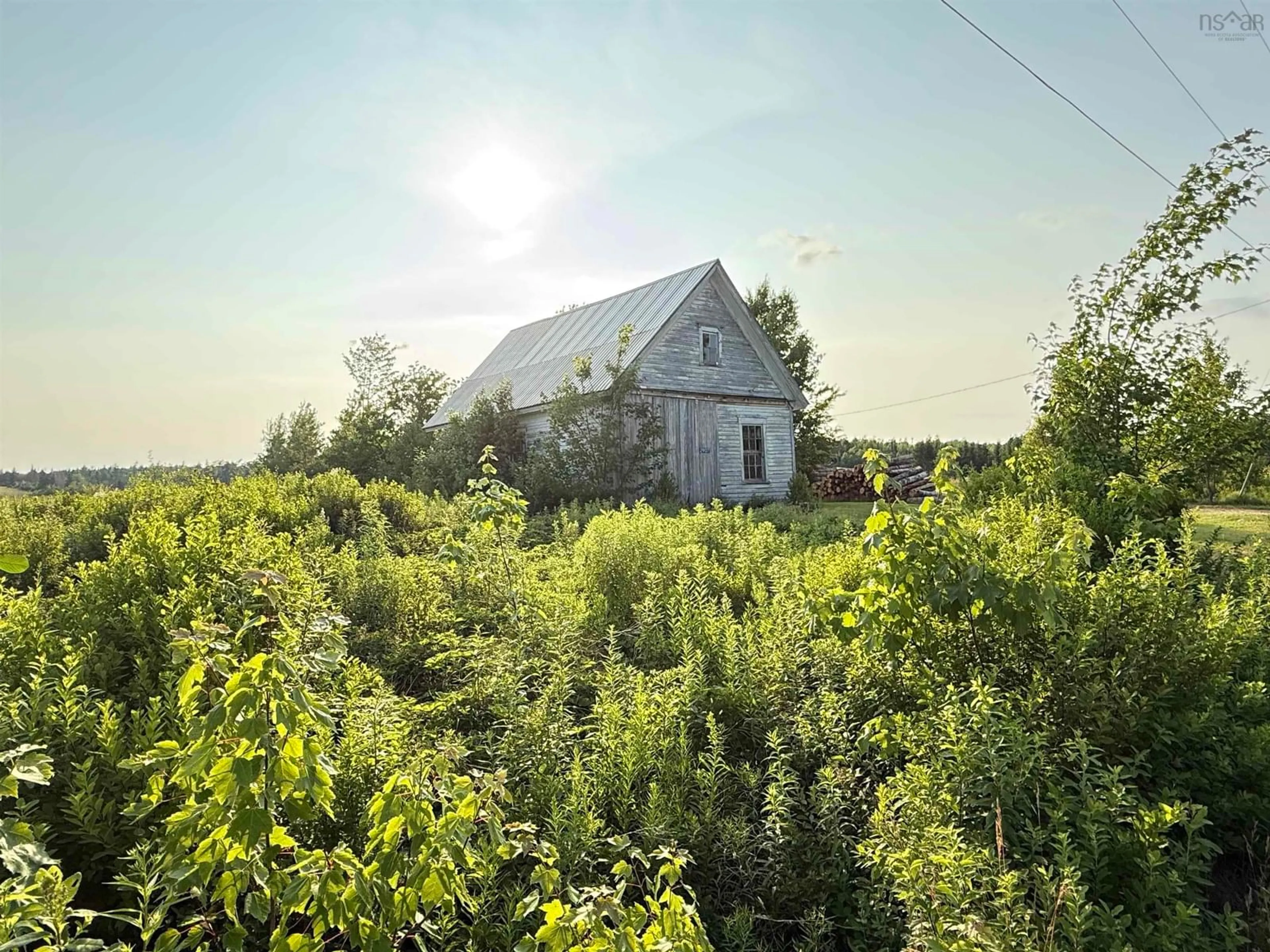 Shed for 2907 Highway 326, Denmark Nova Scotia B0K 1V0