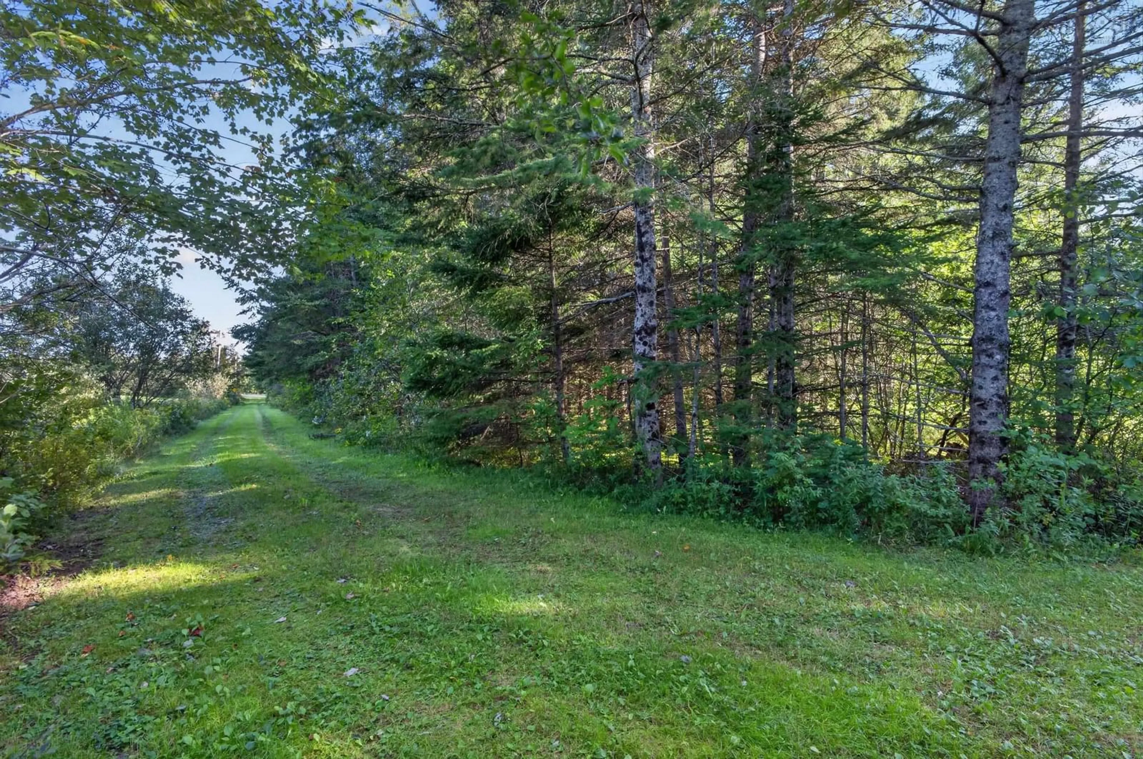 A pic from outside/outdoor area/front of a property/back of a property/a pic from drone, forest/trees view for 11290 Highway 224 Hwy, Elmsvale Nova Scotia B0N 1X0