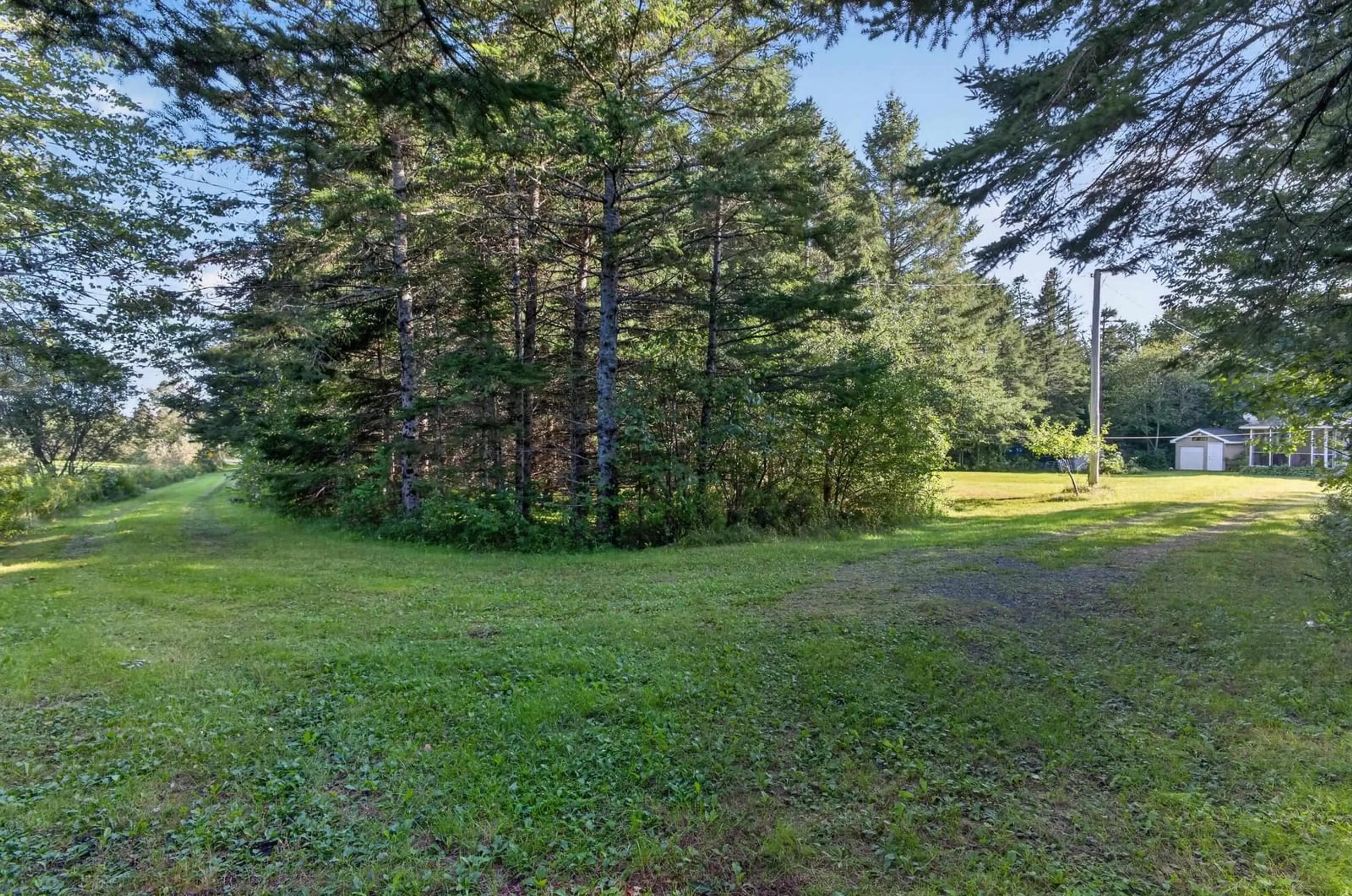 A pic from outside/outdoor area/front of a property/back of a property/a pic from drone, forest/trees view for 11290 Highway 224 Hwy, Elmsvale Nova Scotia B0N 1X0