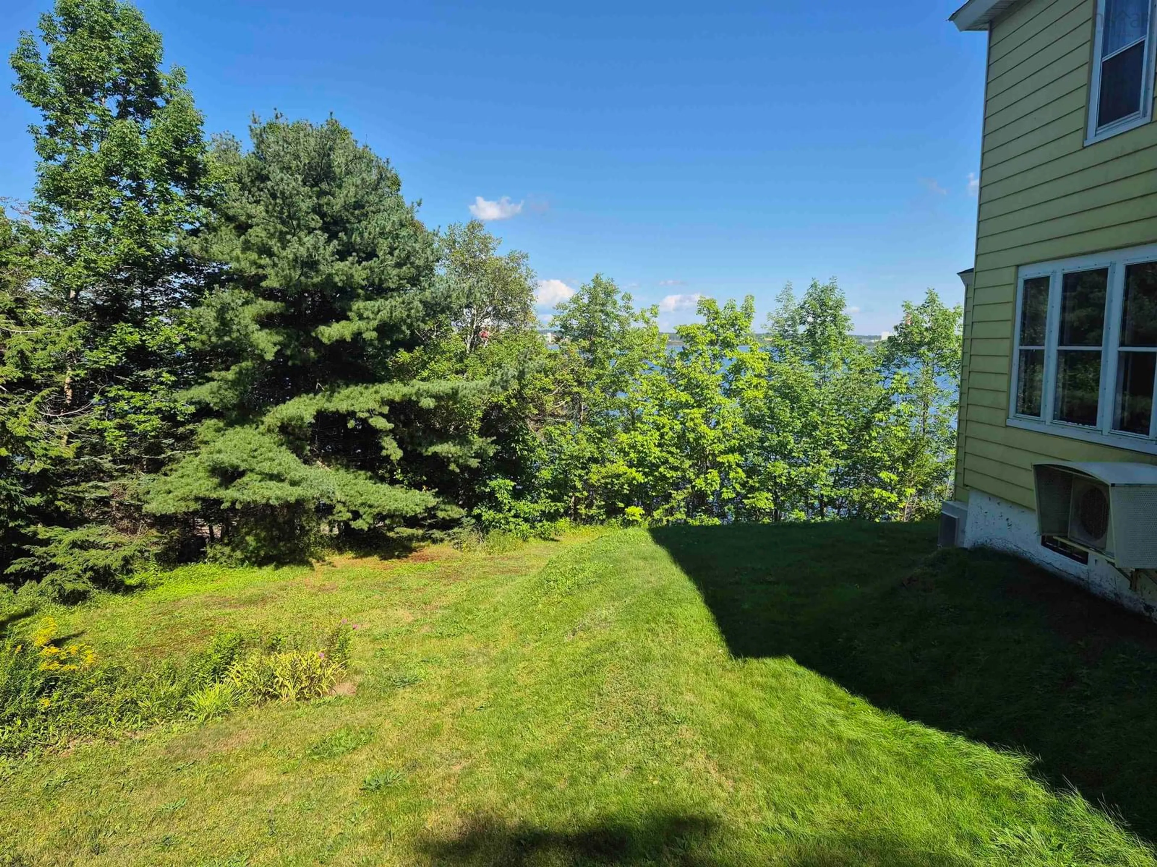 A pic from outside/outdoor area/front of a property/back of a property/a pic from drone, forest/trees view for 650 Main St, Mulgrave Nova Scotia B0E 2G0
