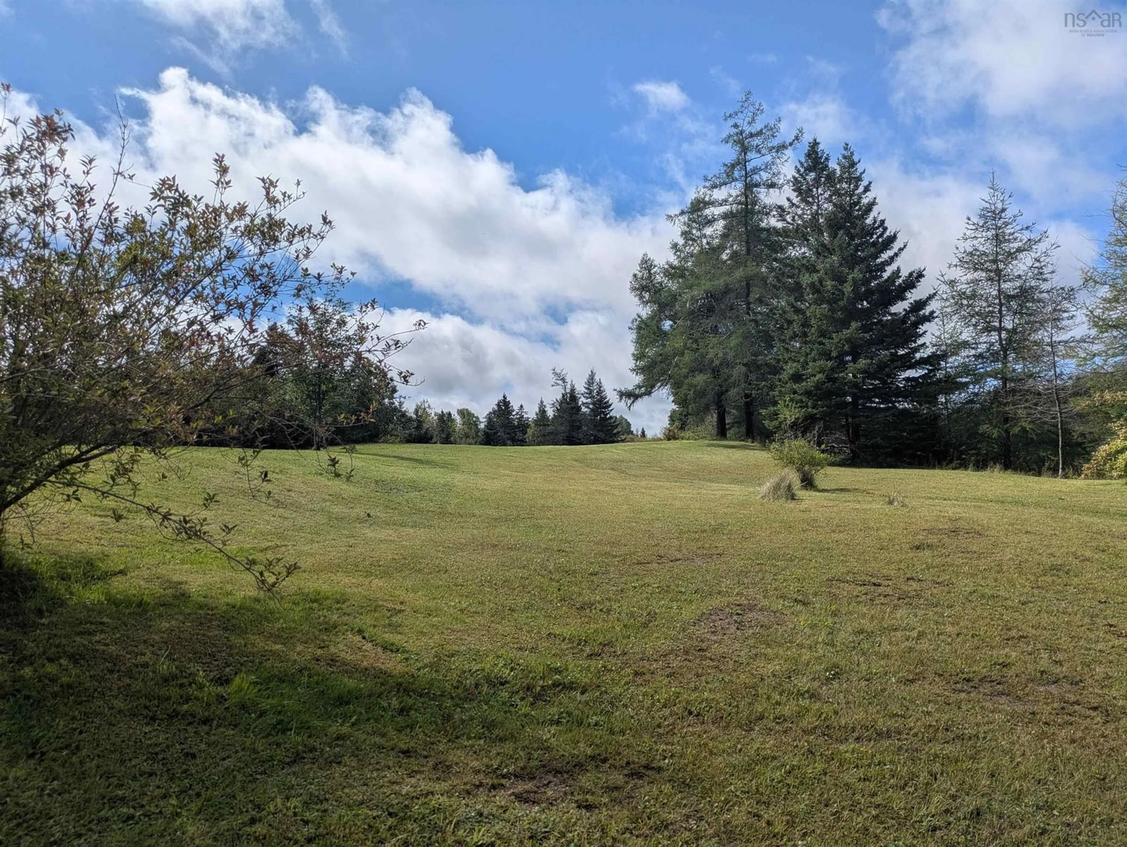 A pic from outside/outdoor area/front of a property/back of a property/a pic from drone, forest/trees view for 60 Alba, Orangedale Rd, Orangedale Nova Scotia B0E 2K0