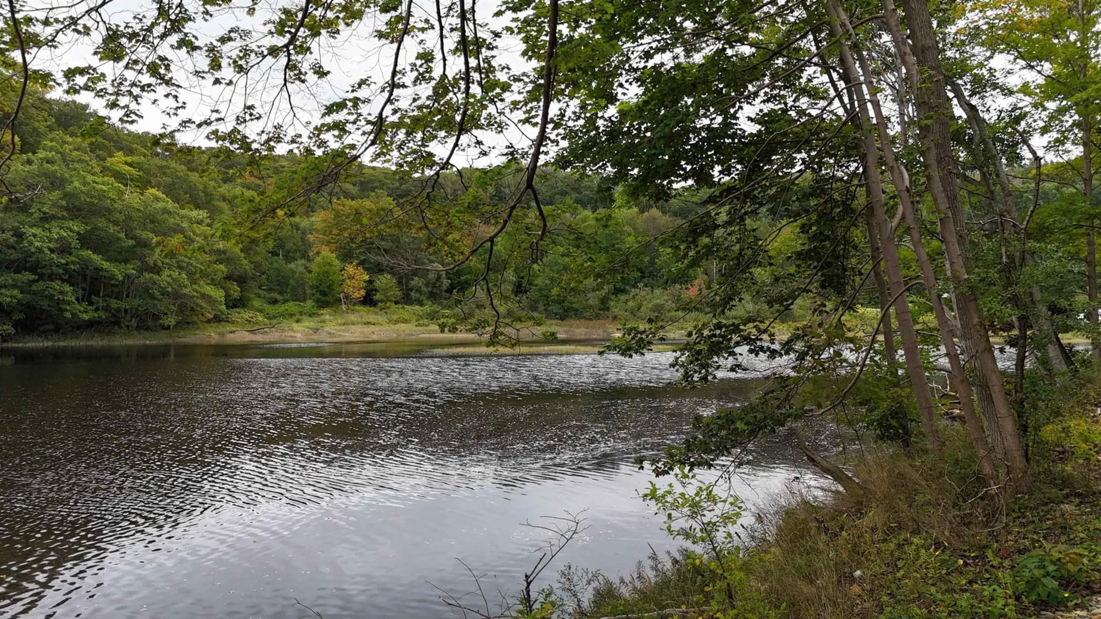 Blurry image for 1357 River Rd, Bear River Nova Scotia B0S 1B0