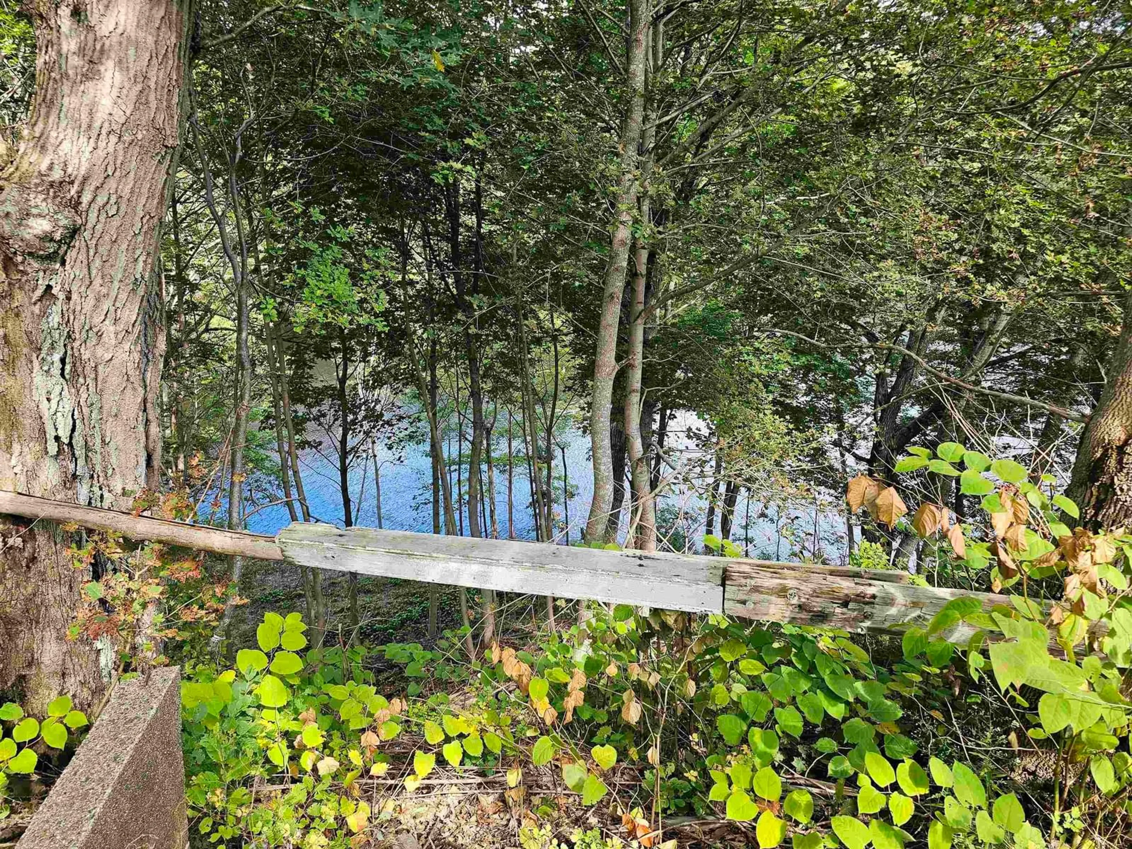 A pic from outside/outdoor area/front of a property/back of a property/a pic from drone, forest/trees view for 1361 River Rd, Bear River Nova Scotia B0S 1B0
