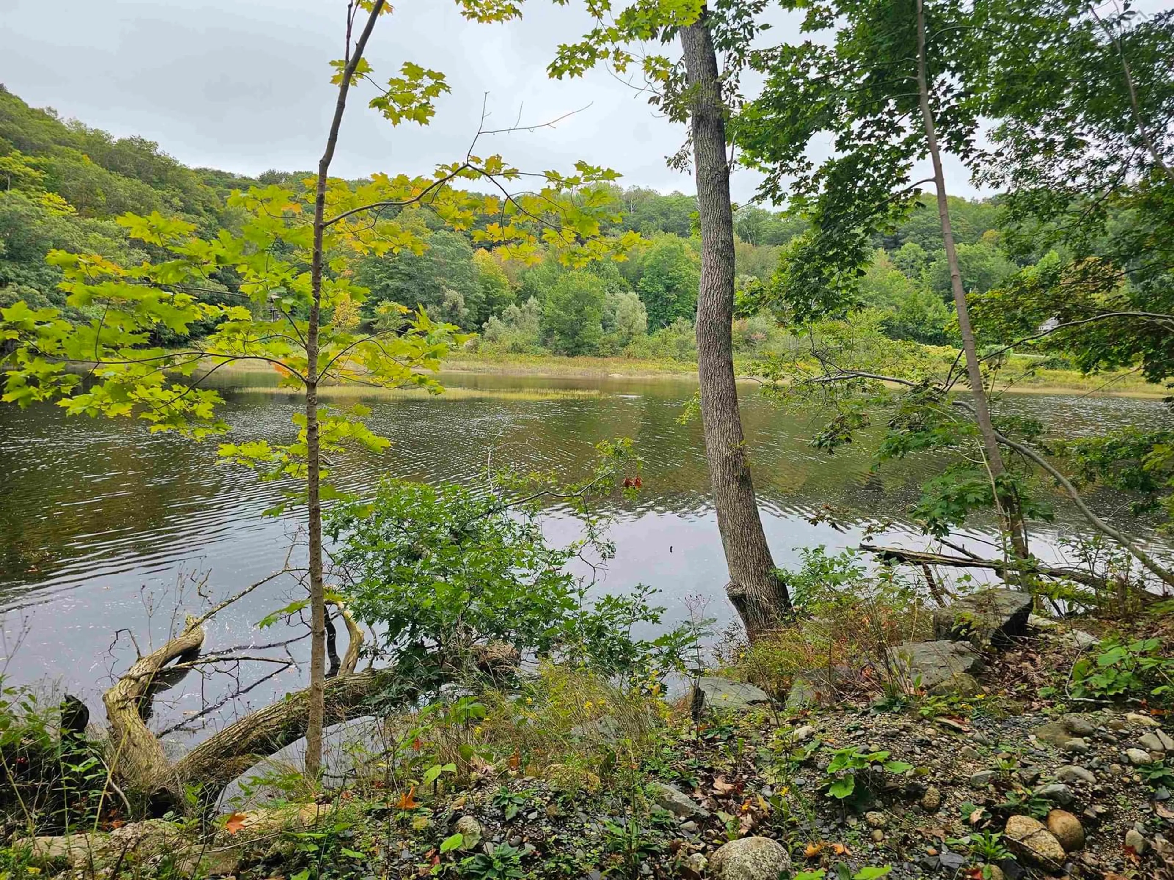Unknown for 1361 River Rd, Bear River Nova Scotia B0S 1B0