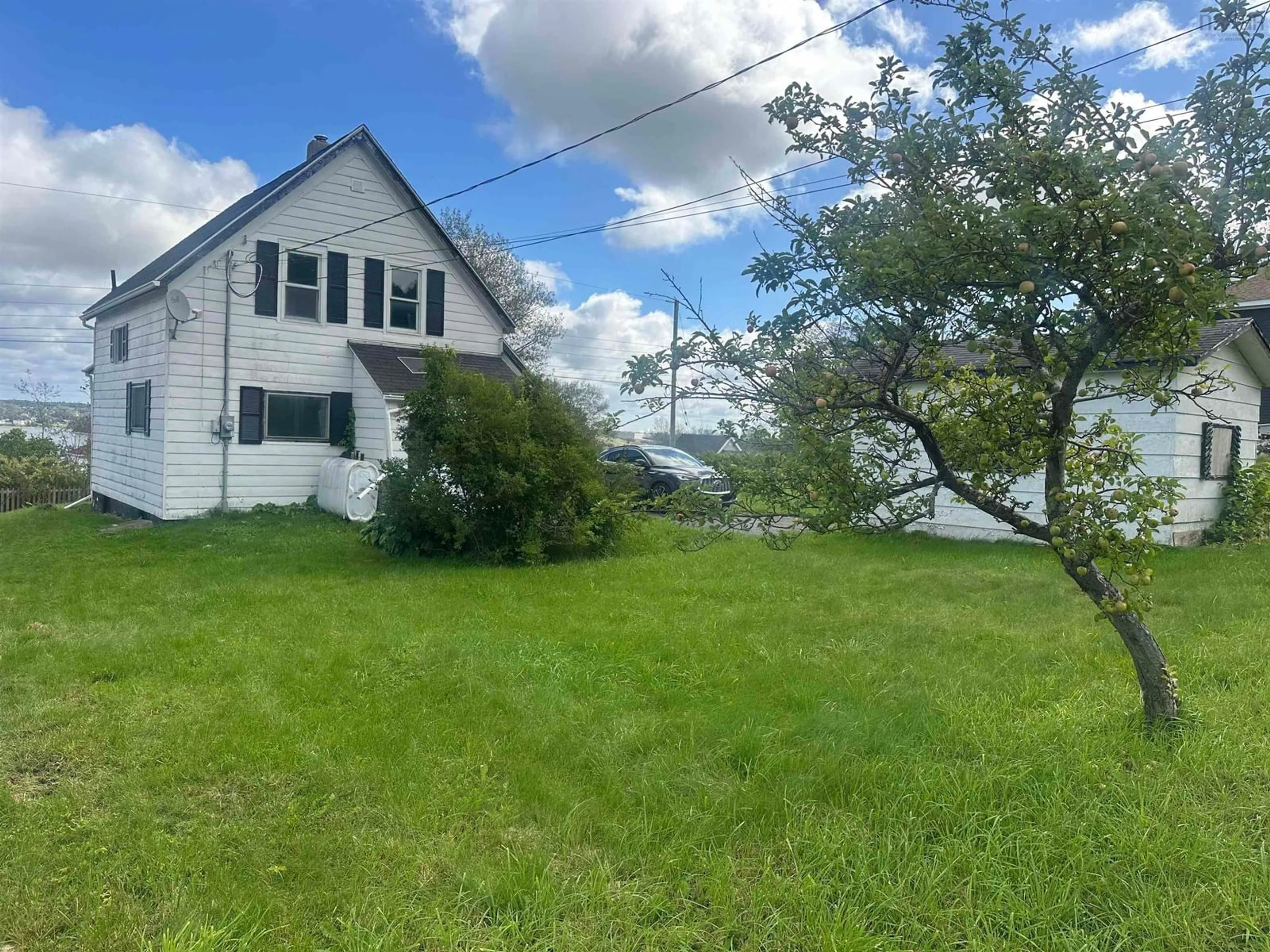 A pic from outside/outdoor area/front of a property/back of a property/a pic from drone, unknown for 445 Murray St, Mulgrave Nova Scotia B0E 2G0