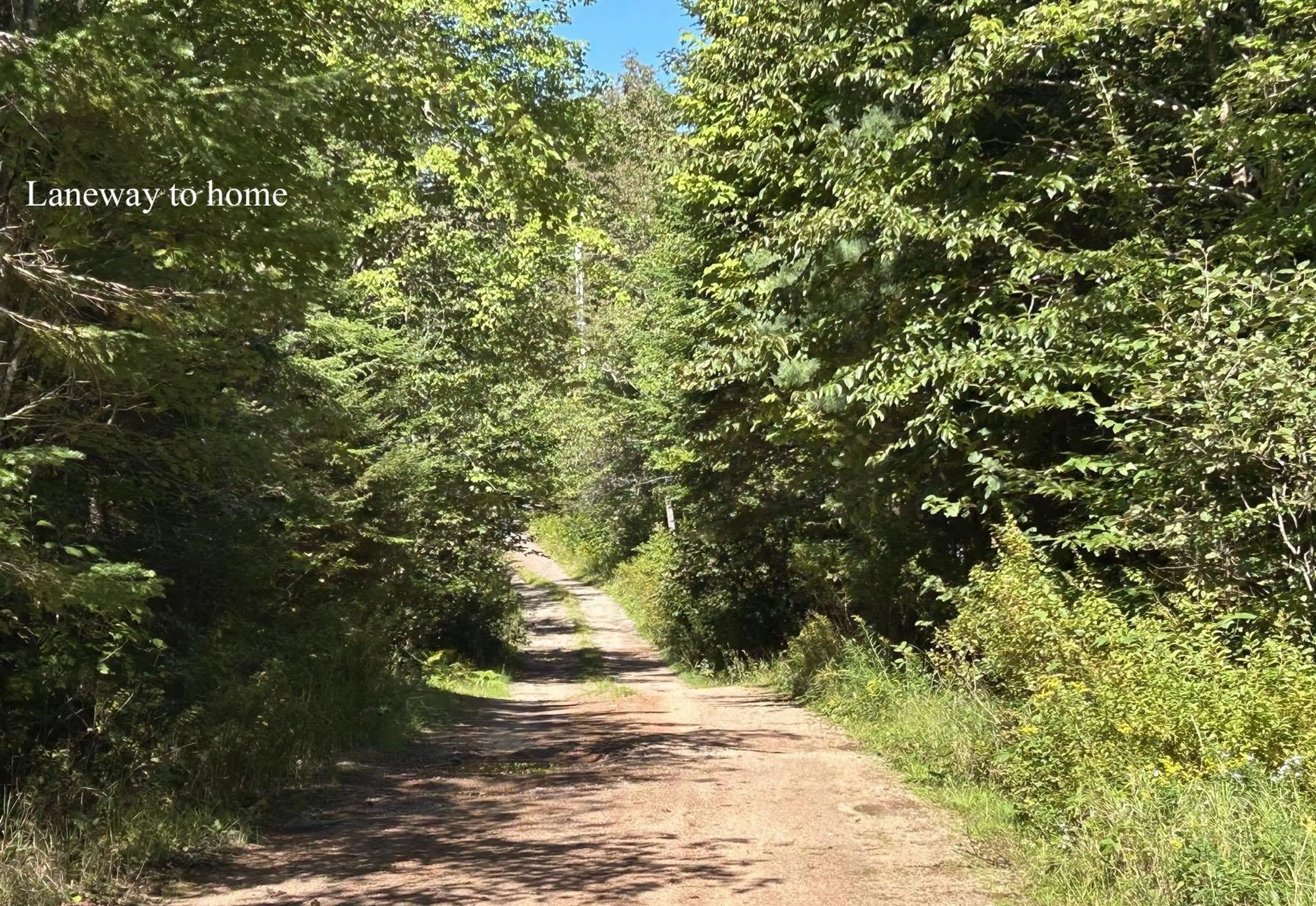Blurry image for 1270 New Russell Rd, New Russell Nova Scotia B0J 2M0