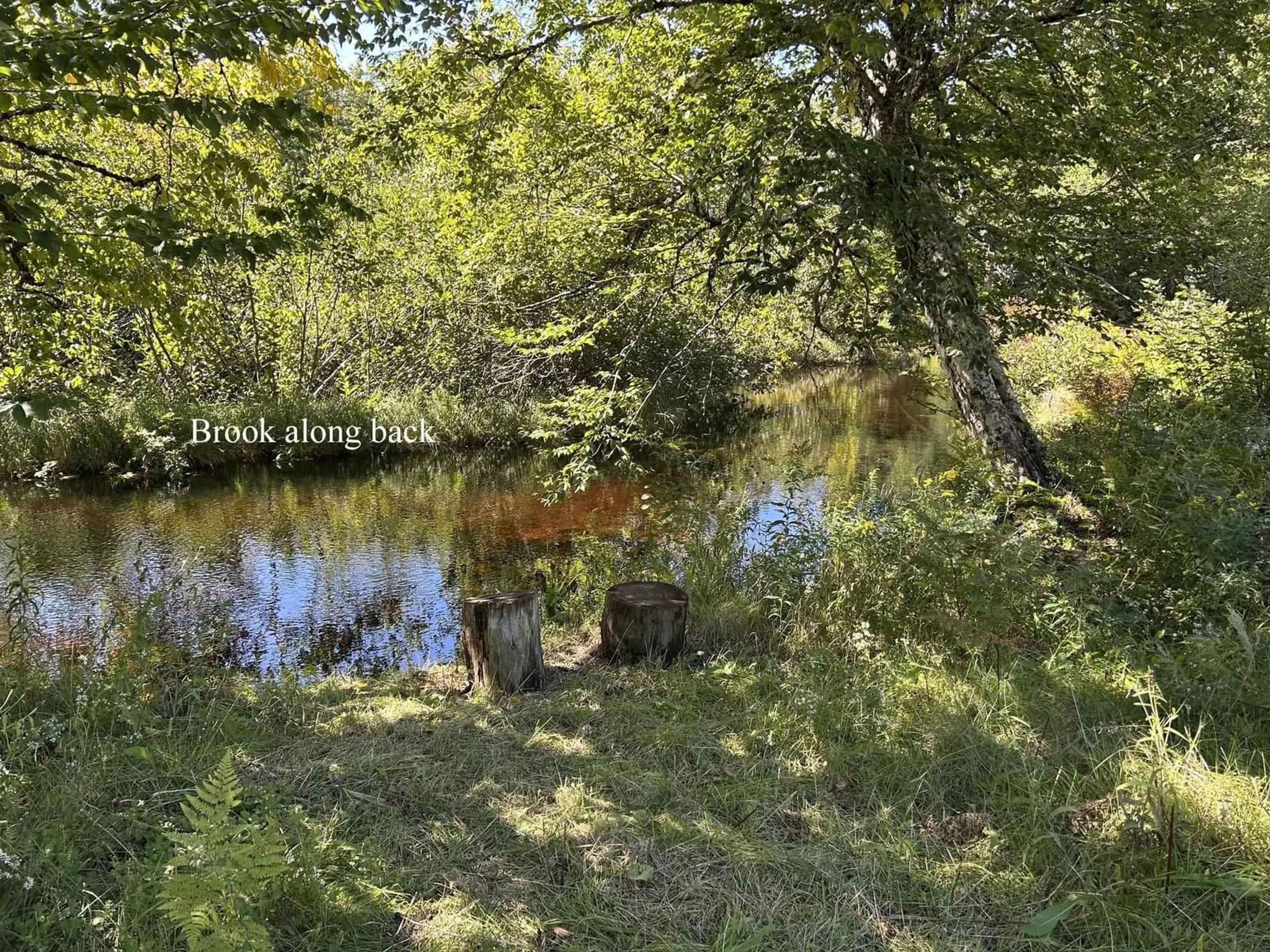 Unknown for 1270 New Russell Rd, New Russell Nova Scotia B0J 2M0