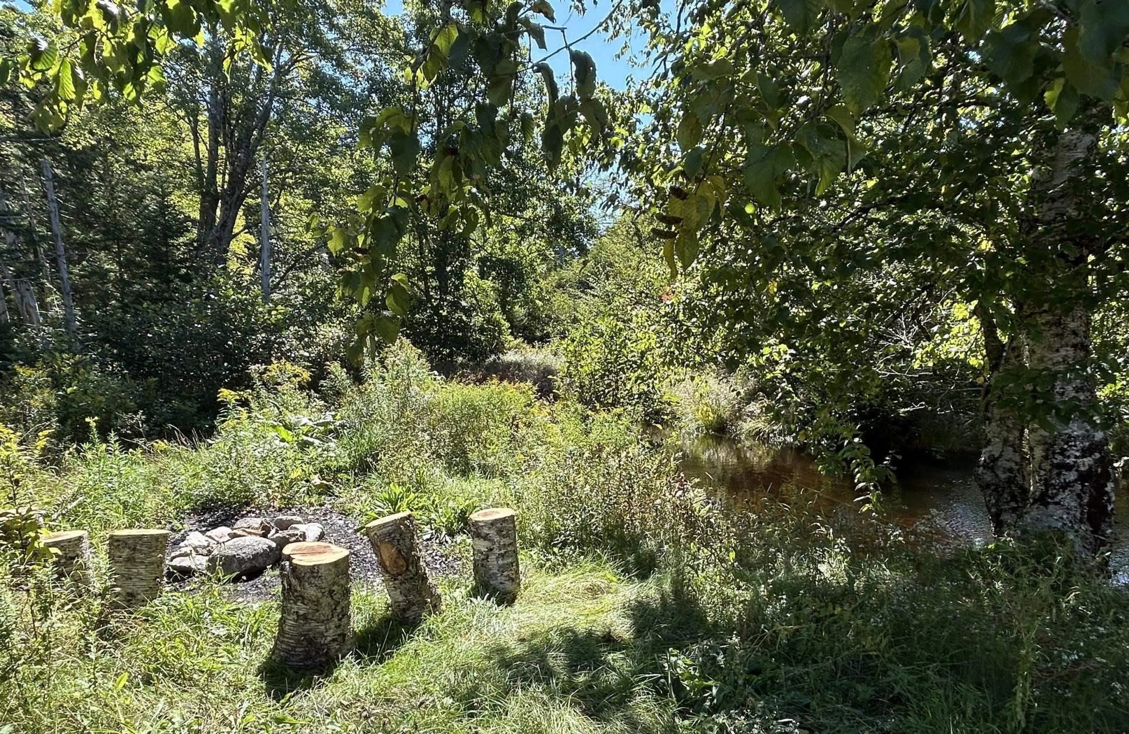 A pic from outside/outdoor area/front of a property/back of a property/a pic from drone, forest/trees view for 1270 New Russell Rd, New Russell Nova Scotia B0J 2M0