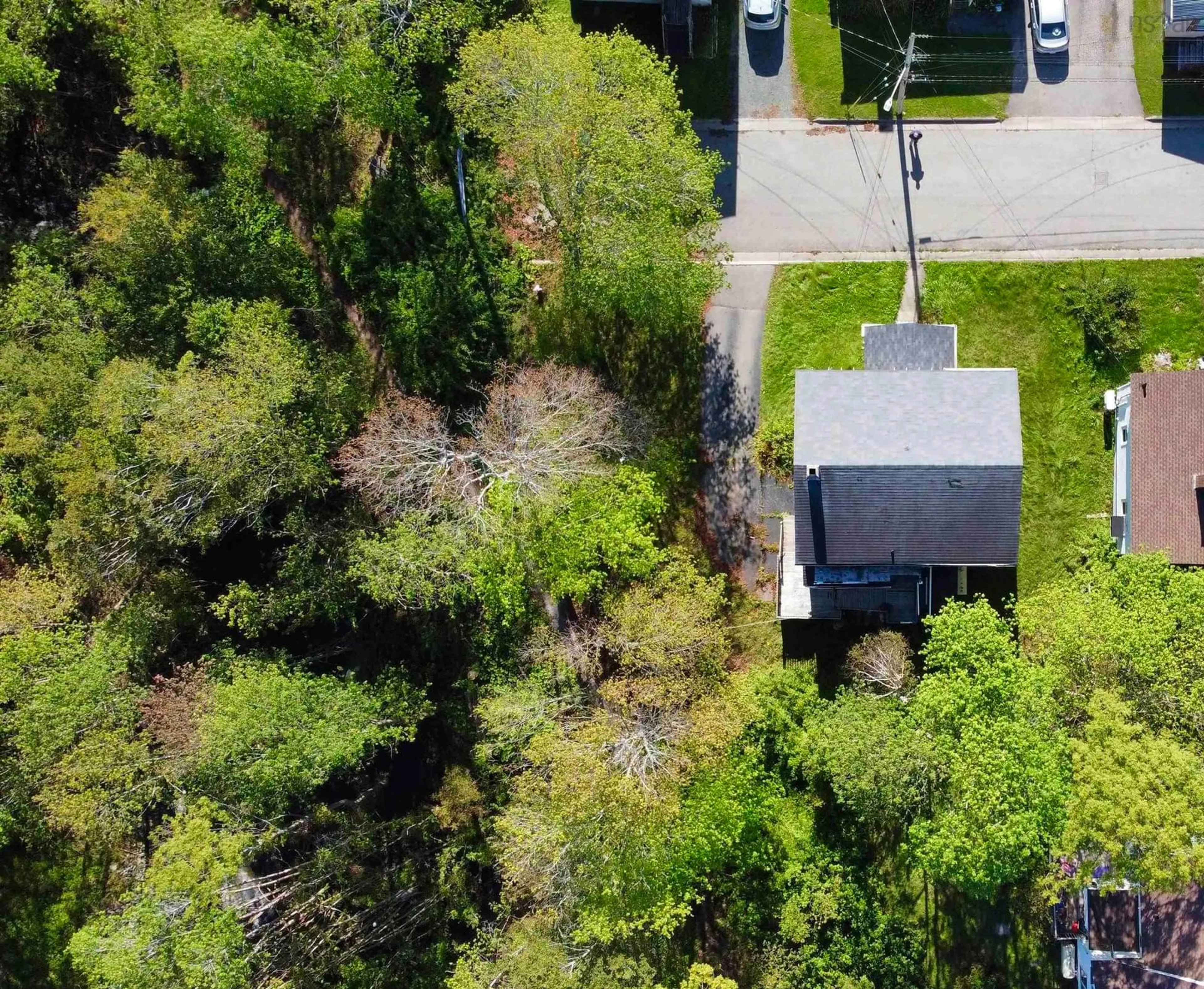 A pic from outside/outdoor area/front of a property/back of a property/a pic from drone, forest/trees view for 61 Harrison Ave, Sydney Nova Scotia B1S 2Y3