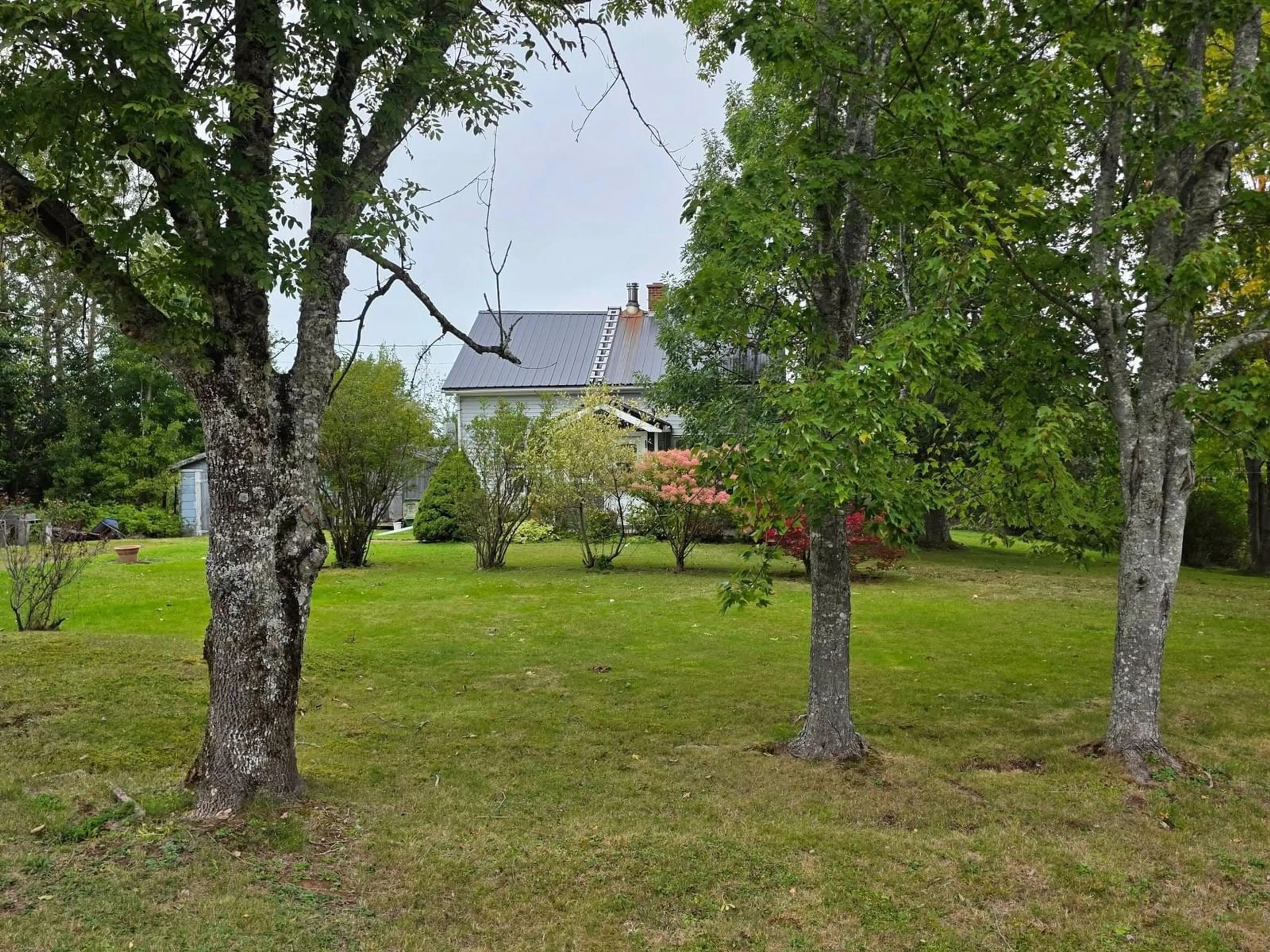 A pic from outside/outdoor area/front of a property/back of a property/a pic from drone, forest/trees view for 921 Upper River John Rd, Middleton Nova Scotia B0K 1V0