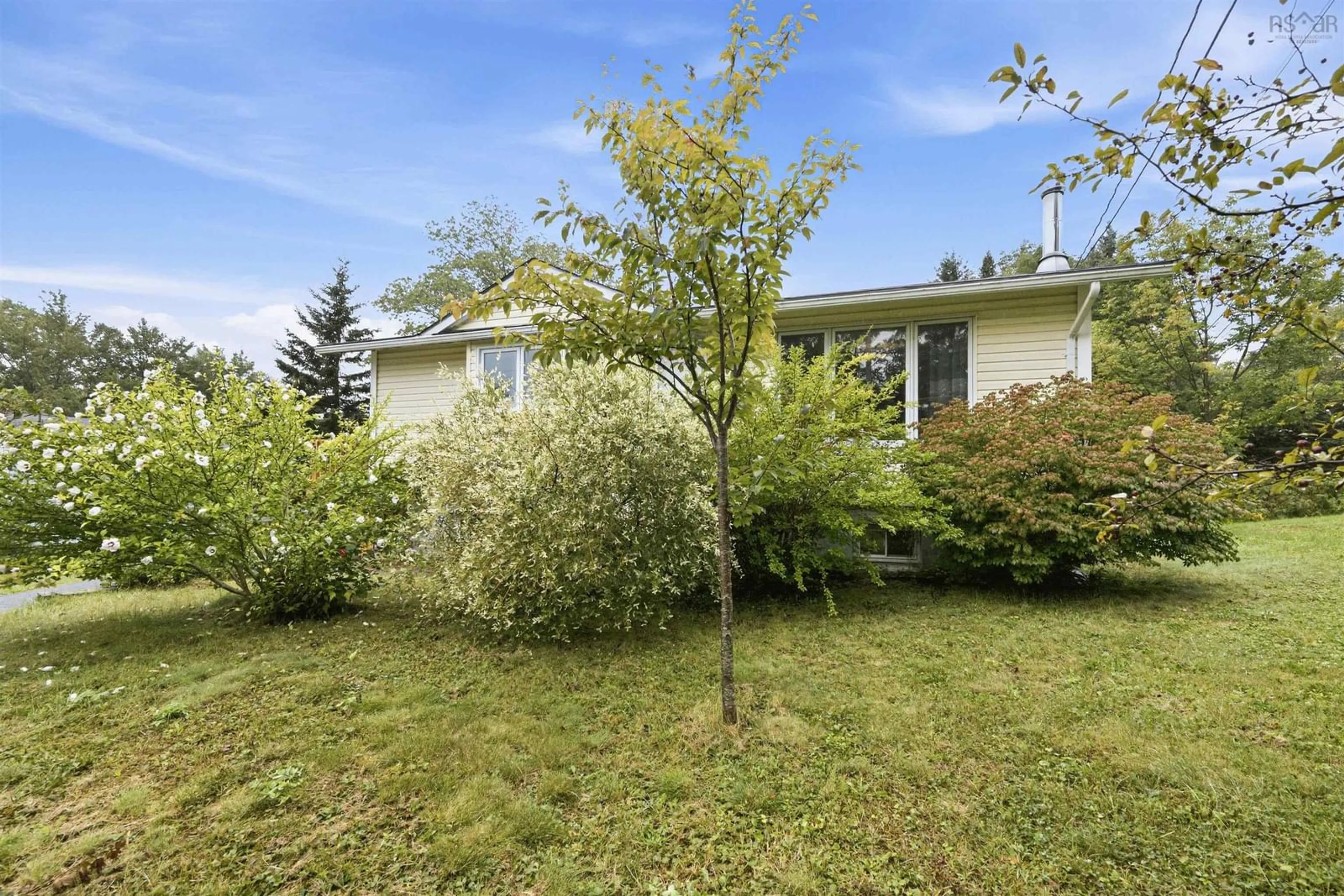 A pic from outside/outdoor area/front of a property/back of a property/a pic from drone, forest/trees view for 196 Lake Major Rd, Westphal Nova Scotia B2Z 1B3