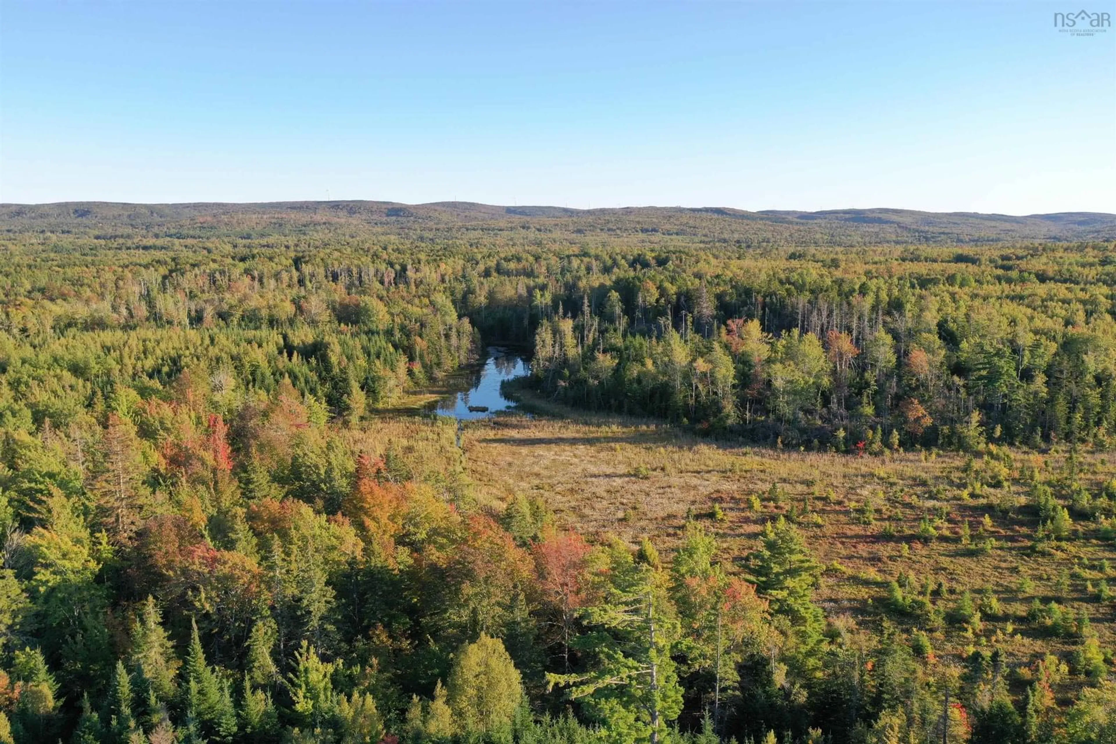 A pic from outside/outdoor area/front of a property/back of a property/a pic from drone, forest/trees view for 1776 Scotsburn Rd, Plainfield Nova Scotia B0K 1N0