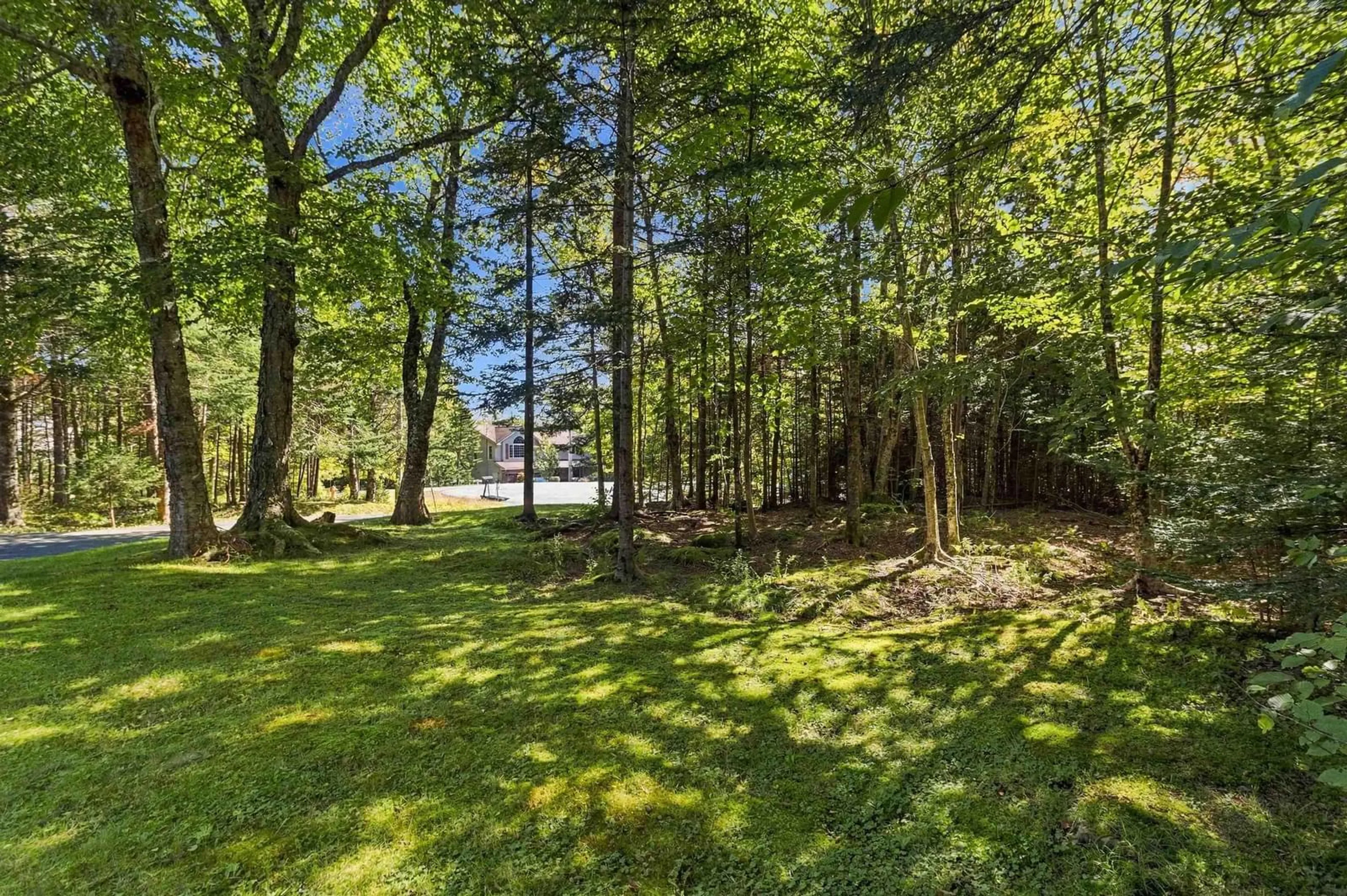 A pic from outside/outdoor area/front of a property/back of a property/a pic from drone, forest/trees view for 36 Sime Crt, Hammonds Plains Nova Scotia B4B 1K1