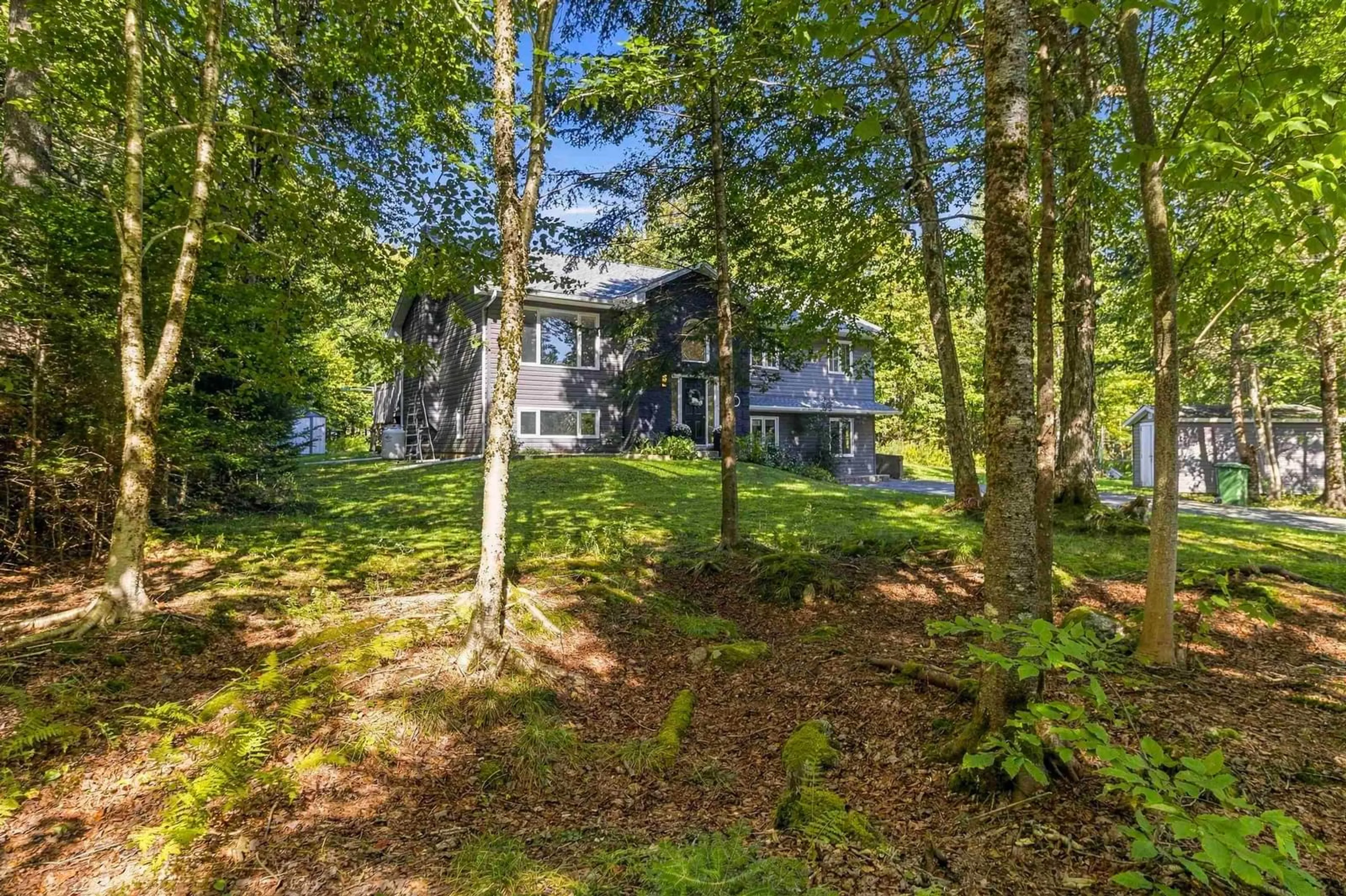 A pic from outside/outdoor area/front of a property/back of a property/a pic from drone, forest/trees view for 36 Sime Crt, Hammonds Plains Nova Scotia B4B 1K1